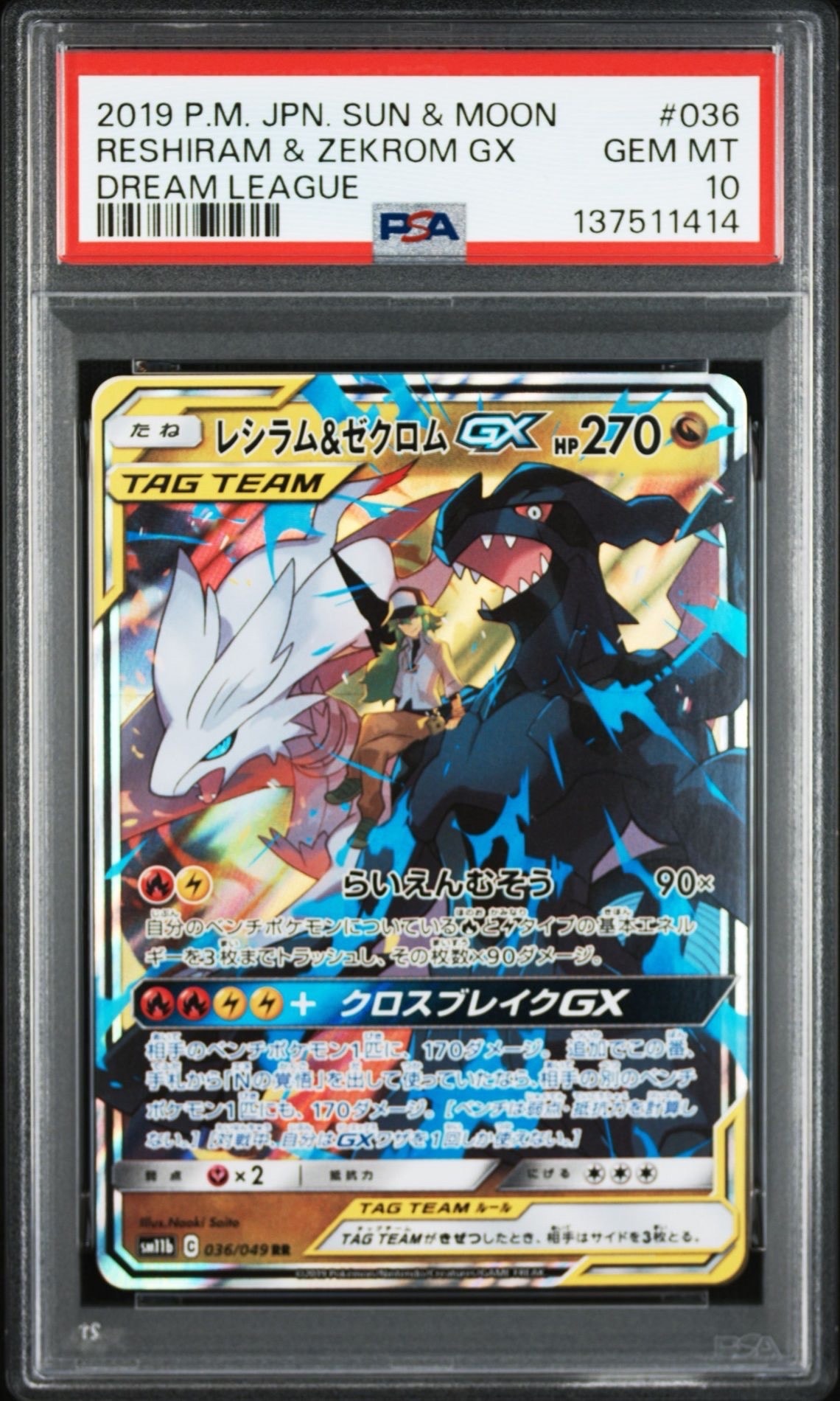 レシラム&ゼクロムGX (N) RR[SM11b 036/049](強化拡張パック「ドリームリーグ」)