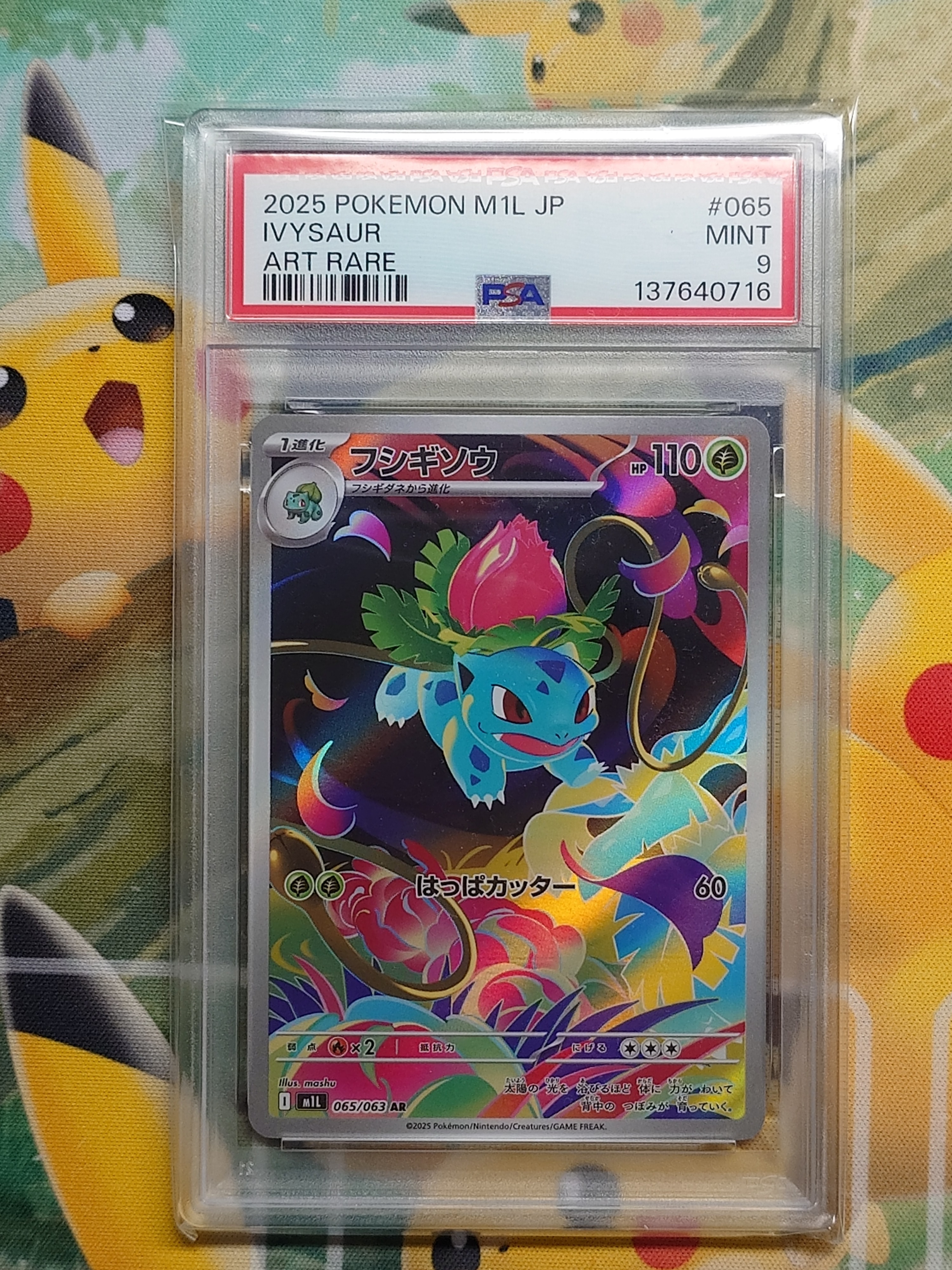 フシギソウ AR [M1L 065/063](拡張パック「メガブレイブ」)の新品/中古