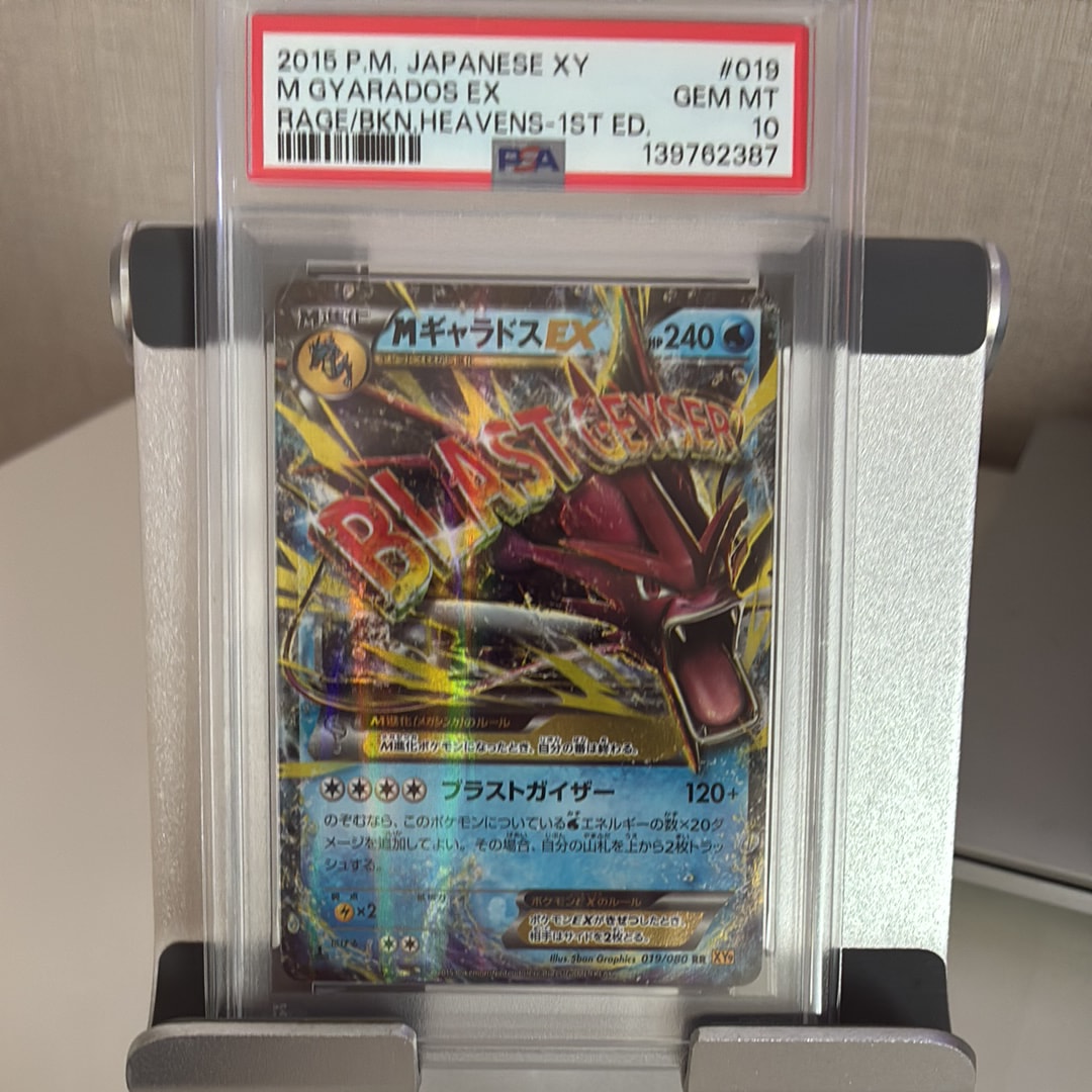 MギャラドスEX RR PSA10 019 PSA10】MギャラドスEX RR 019/080」の激安通販 | magi