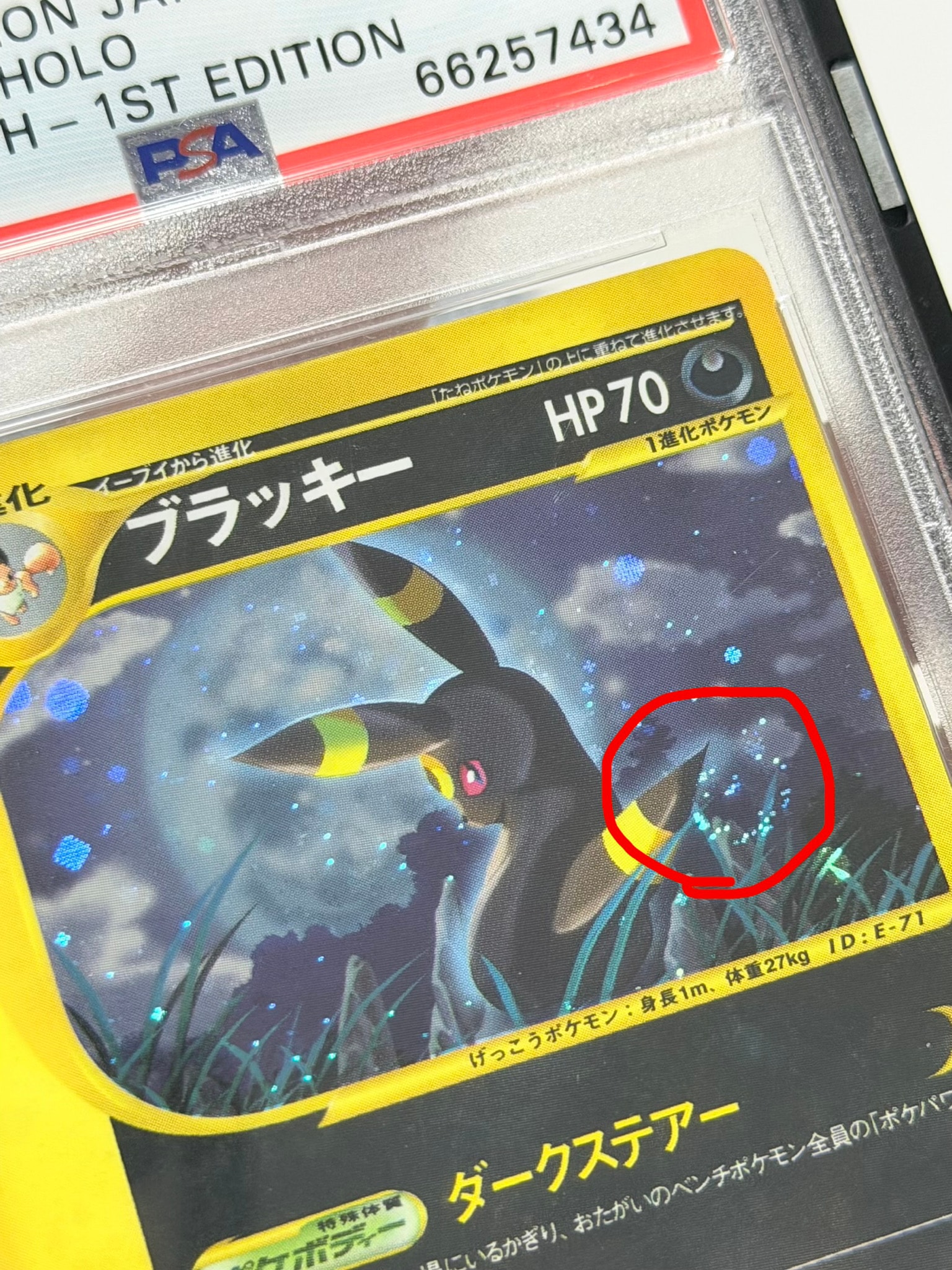ブラッキー ☆ :1ED [e4 072/088](拡張パック第4弾「裂けた大地」)通販