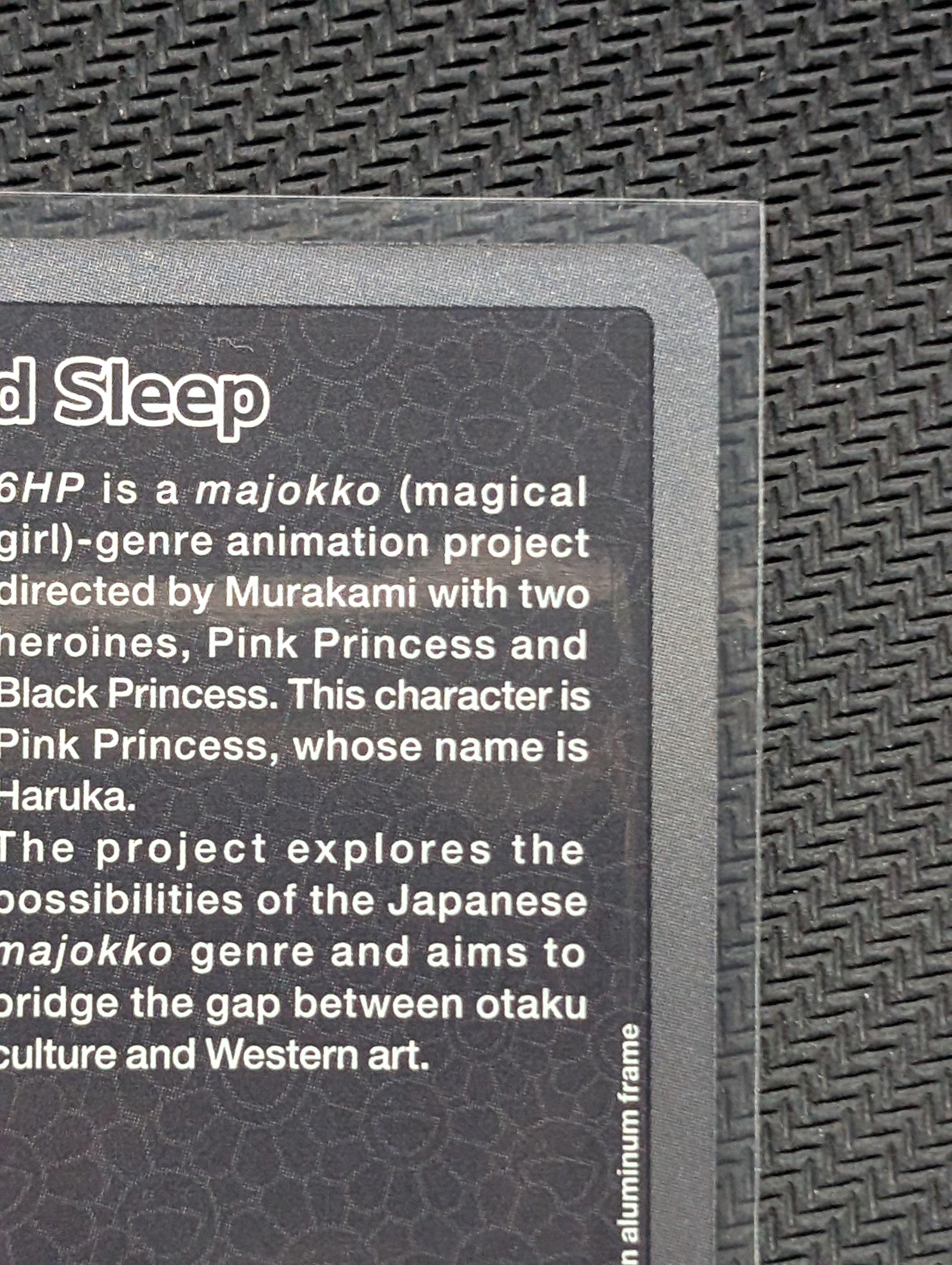 A]6HP HARUKA Good Sleep SR [MMKTC-100] [EN](Murakami.Flowers
