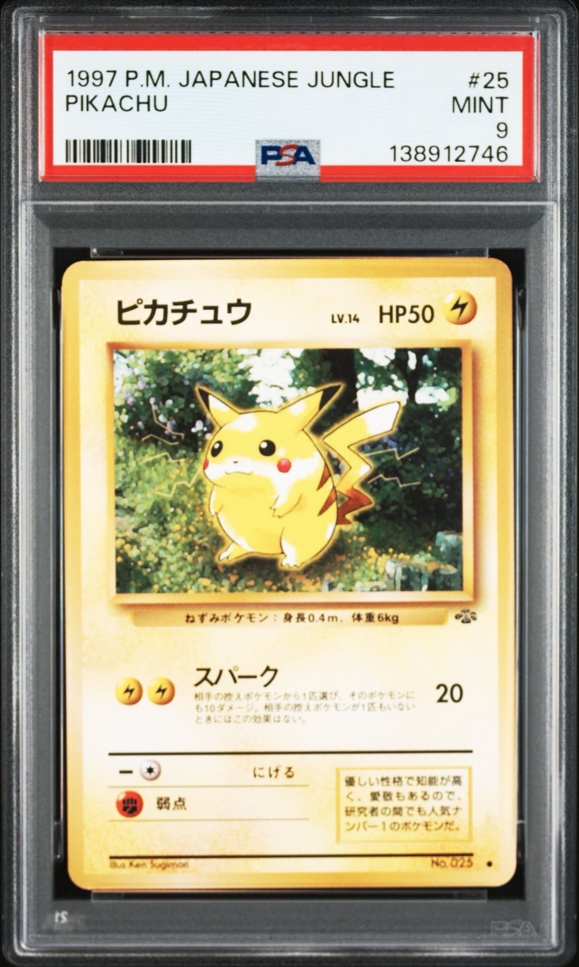 ピカチュウ ● : 旧裏 [PMCG2 No.025](拡張パック「ポケモンジャングル」)