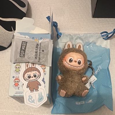 POP MART THE MONSTERS (LABUBU) Pin for Love Series-Vinyl Plush Pendant (N-Z) &