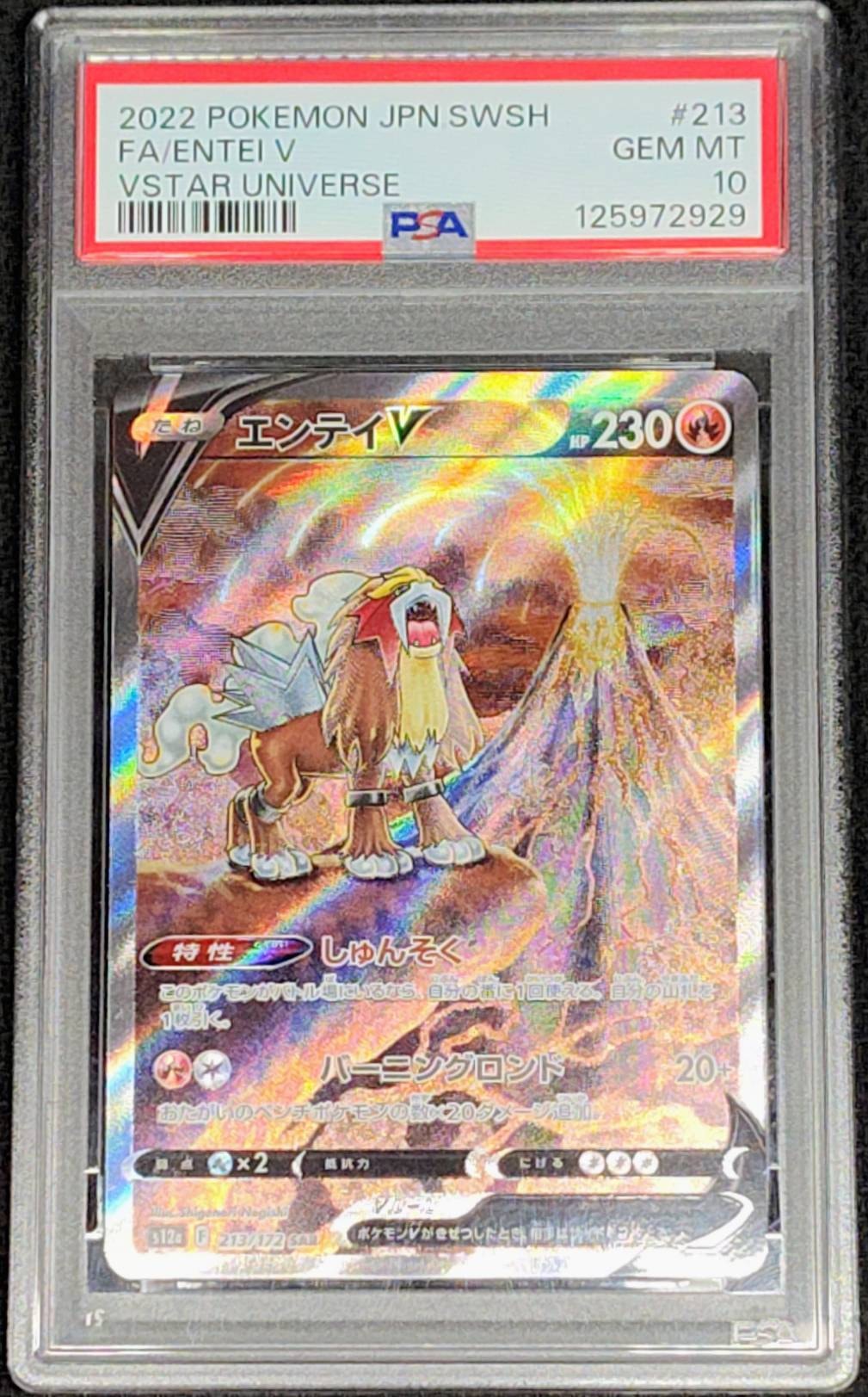 エンテイV SAR[s12a 213/172](ハイクラスパック「VSTARユニバース」)
