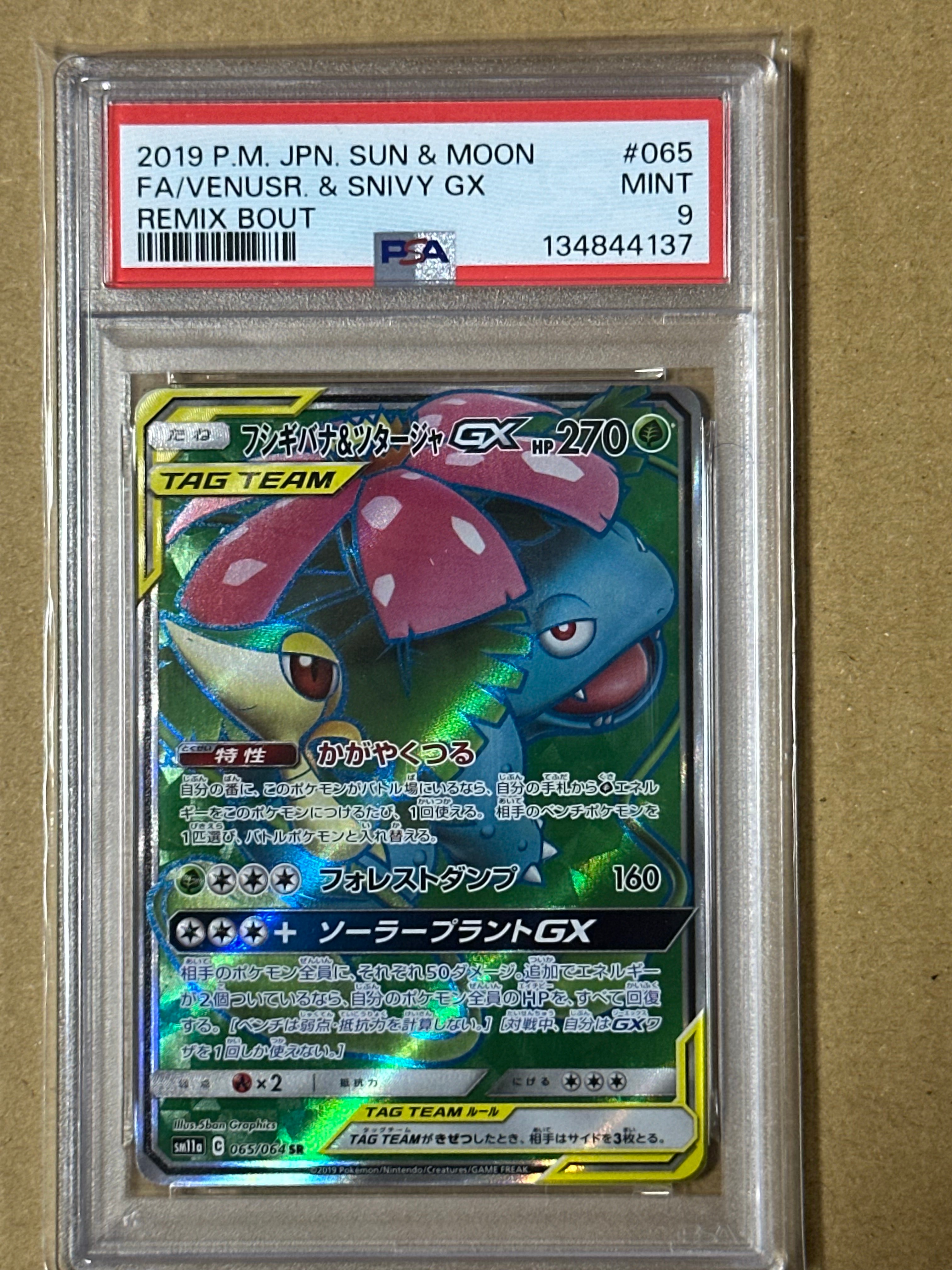 フシギバナ&ツタージャGX SR[SM11a 065/064](強化拡張パック