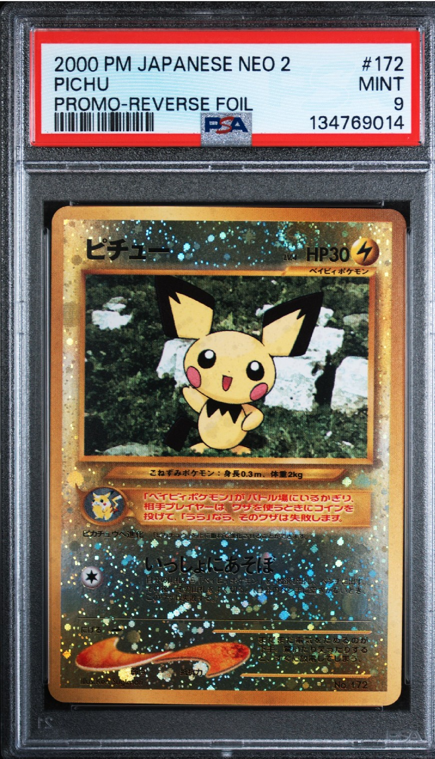 ピチュープレミアムファイル2: 旧裏[neoP2 No.172](プレミアムファイル2)