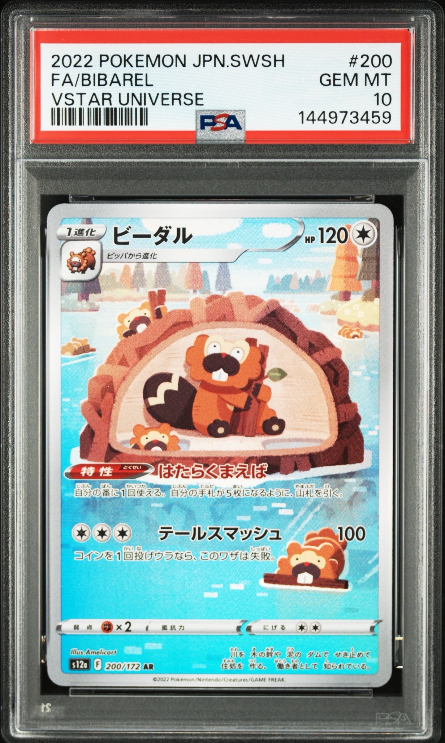ビーダル AR[s12a 200/172](ハイクラスパック「VSTARユニバース」)