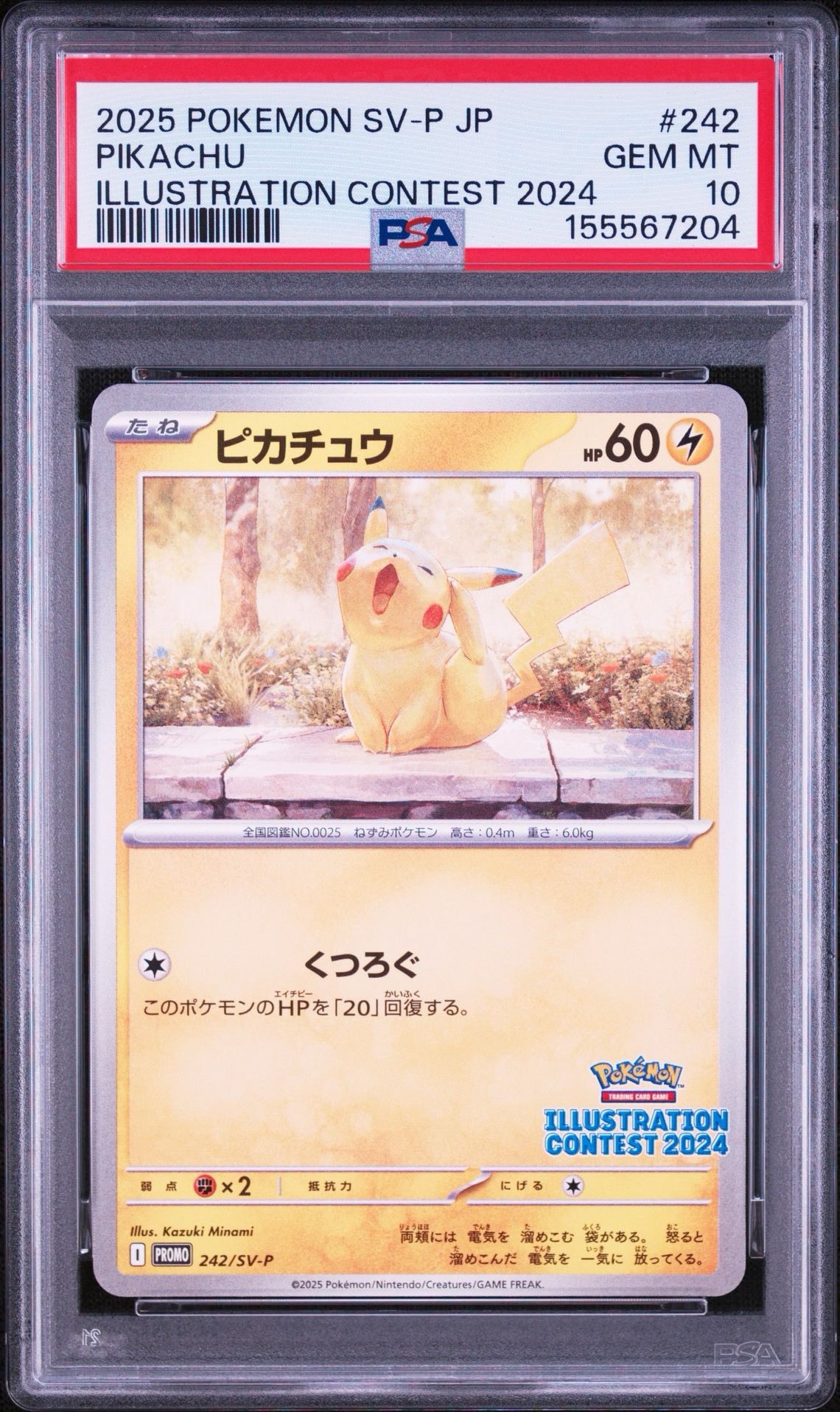 ピカチュウ [SV-P 242](プロモカードパック「イラストレーション