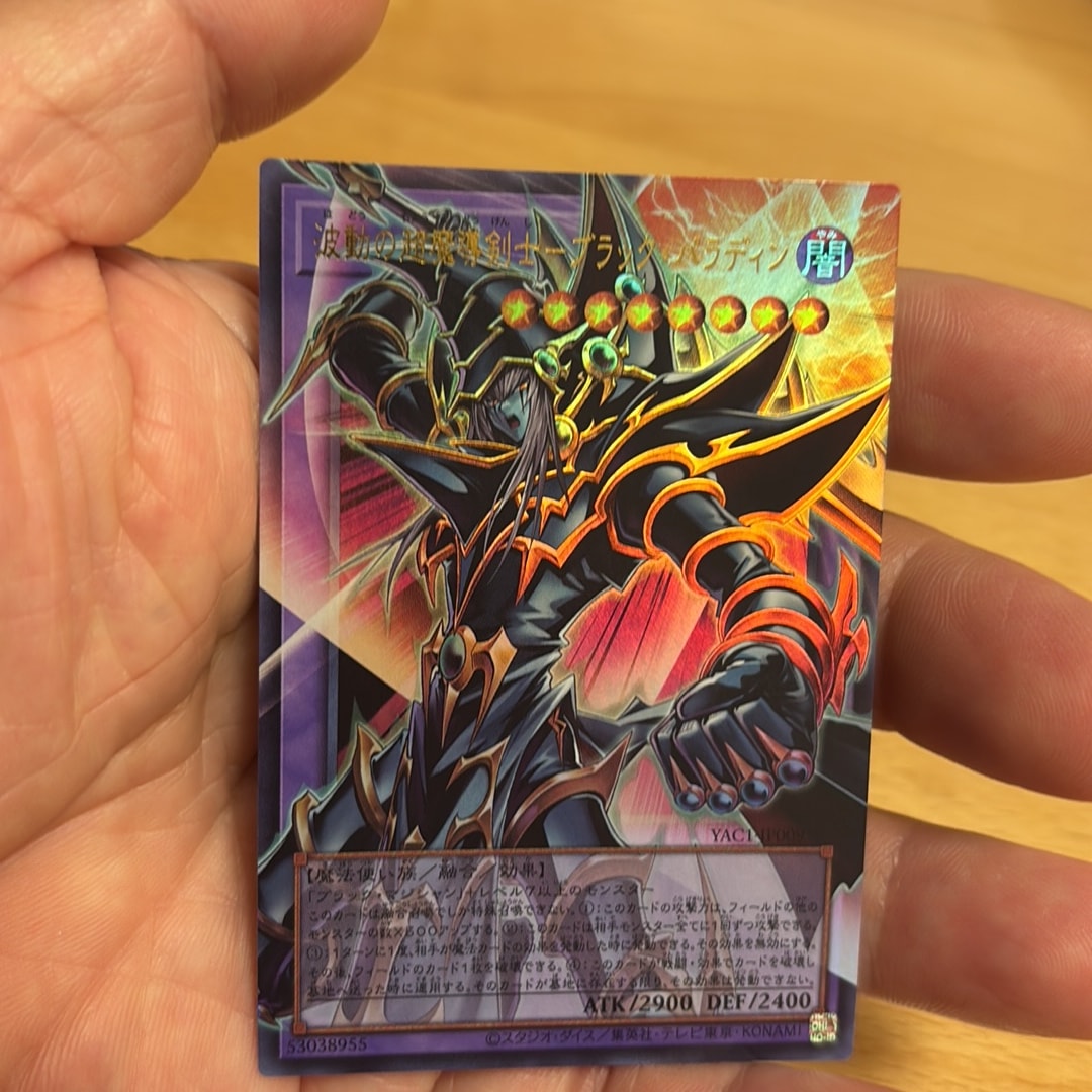 ブラックパラディンpsa9 A（きれいな状態）】波動の超魔導剣士―ブラック・パラディン PSE