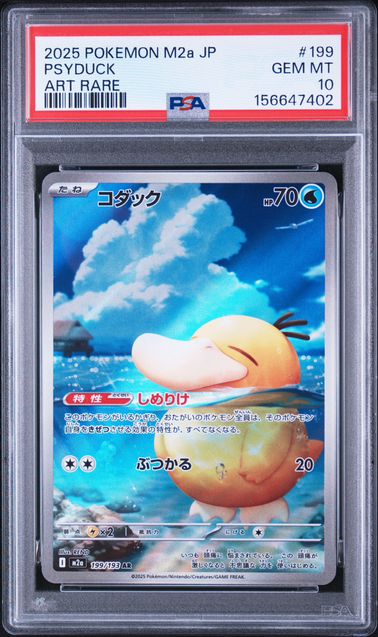 コダック AR [M2a 199/193](ハイクラスパック「MEGAドリームex」)通販