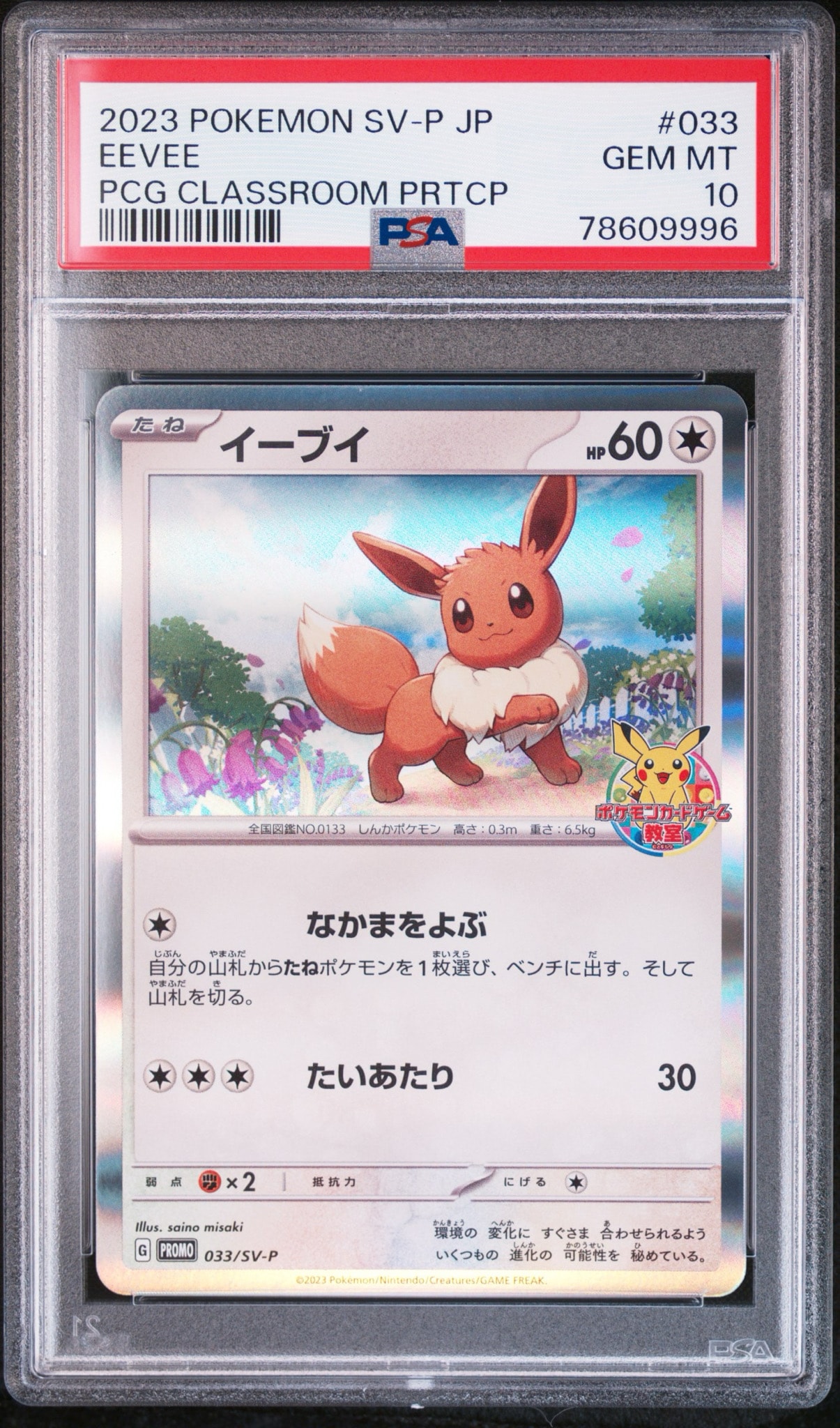 イーブイ: プロモ [SV-P 033](「 ポケモンカードゲーム教室