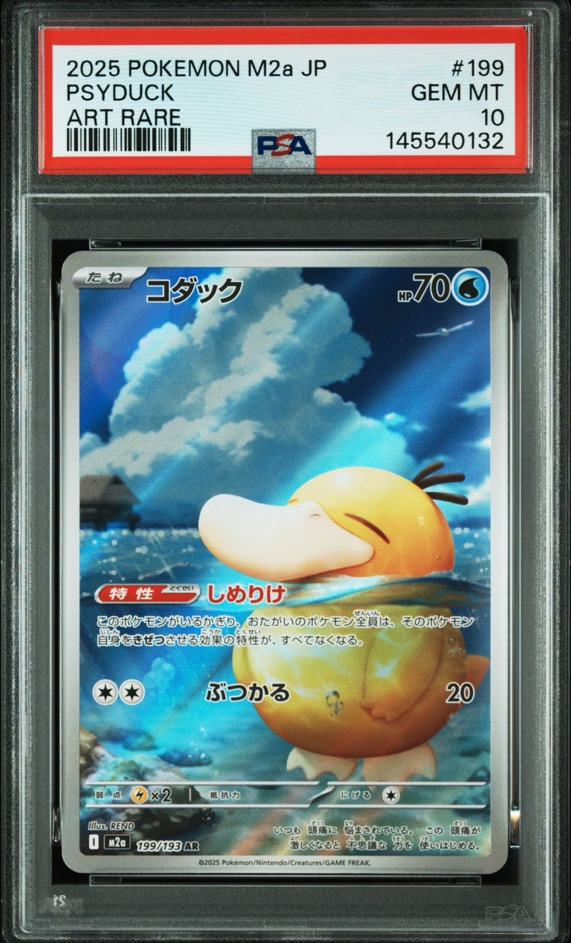 コダック AR [M2a 199/193](ハイクラスパック「MEGAドリームex」)の