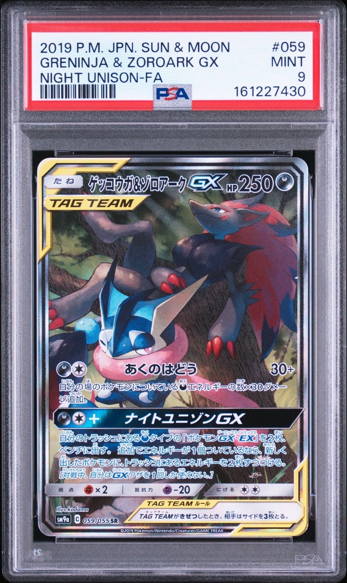 ゲッコウガ&ゾロアークGX SR: SA[SM9a 059/055](強化拡張パック