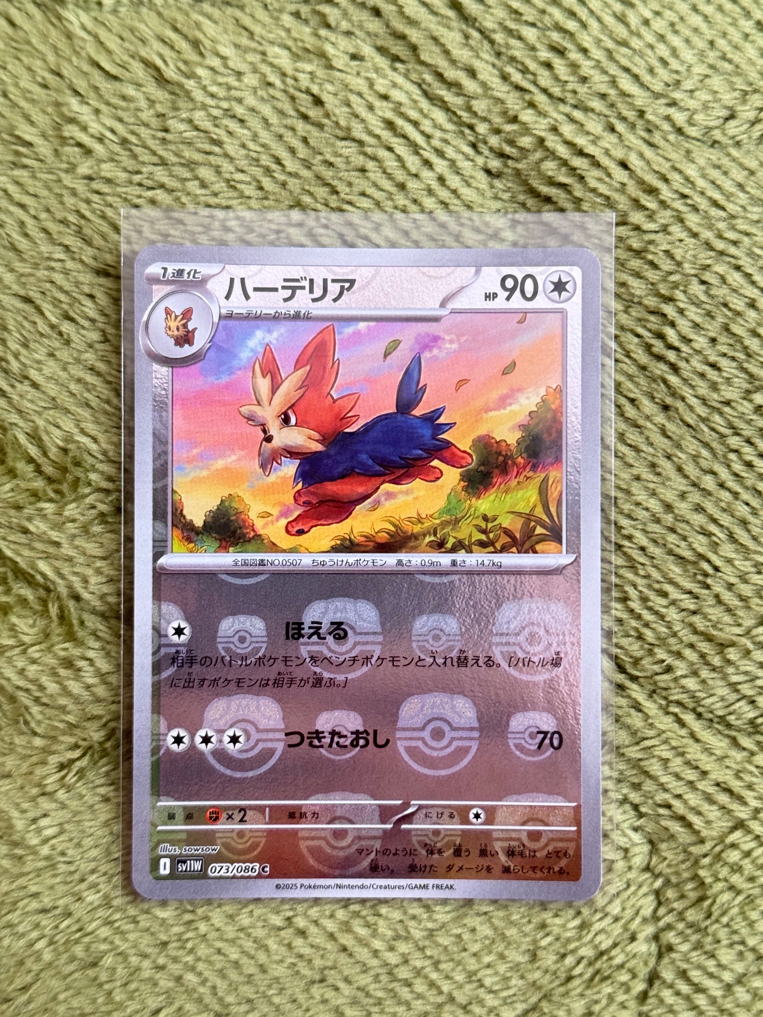 ハーデリア C :マスターボールミラー [SV11W 073/086](拡張パック「ホワイトフレア」)