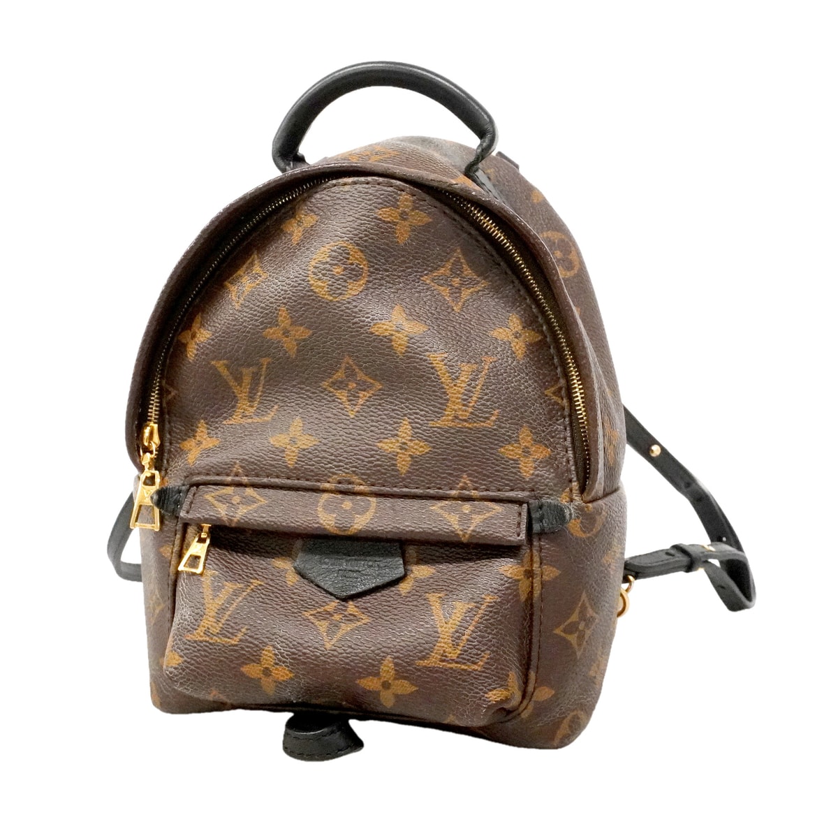 Louis Vuitton Palm Springs Mini Monogram