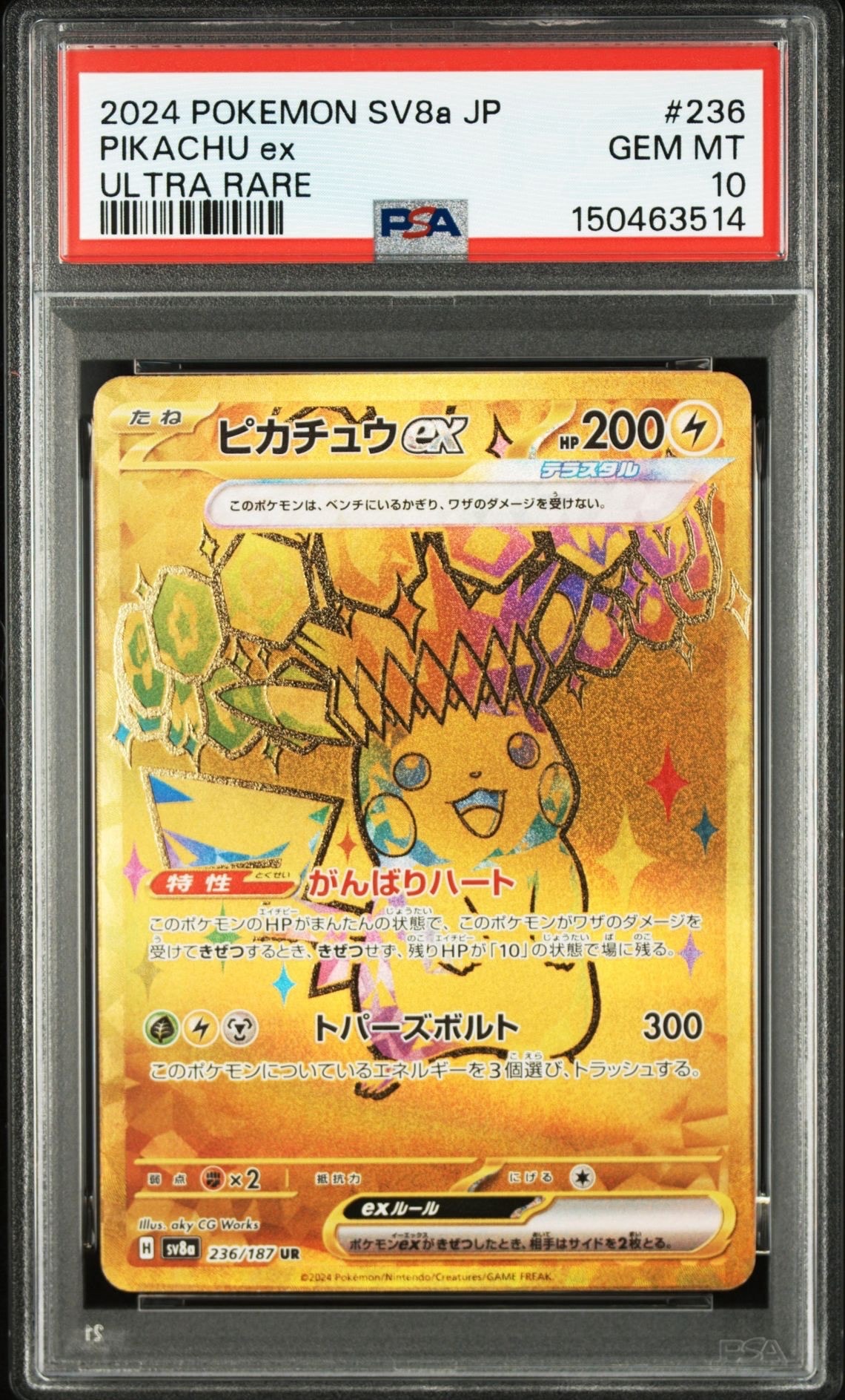 ピカチュウ P [XY-P 206](スペシャルBOX「メガリザードンXのポンチョを