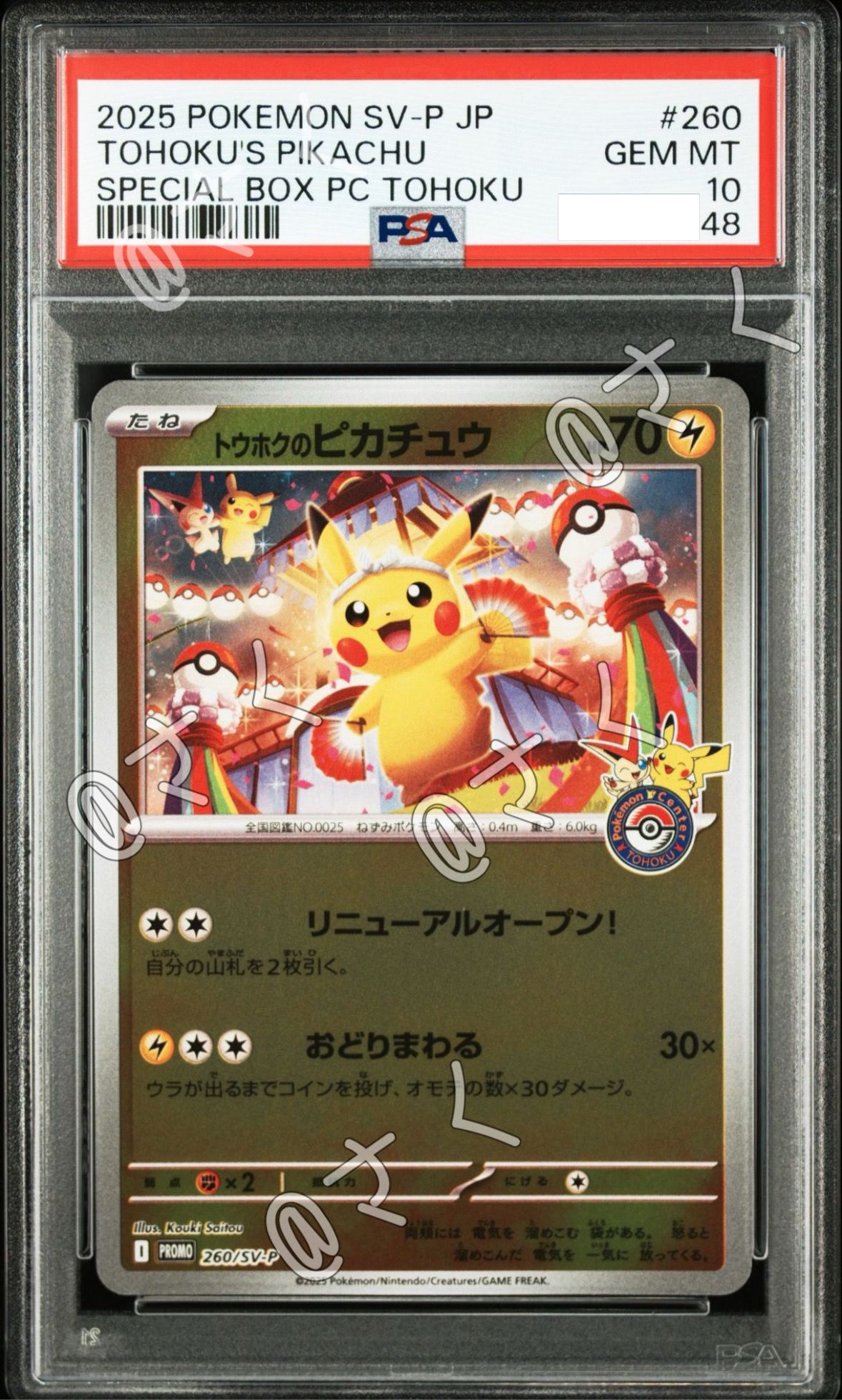 トウホクのピカチュウ P [SV-P 260](スペシャルBOX「ポケモンセンタートウホク」)