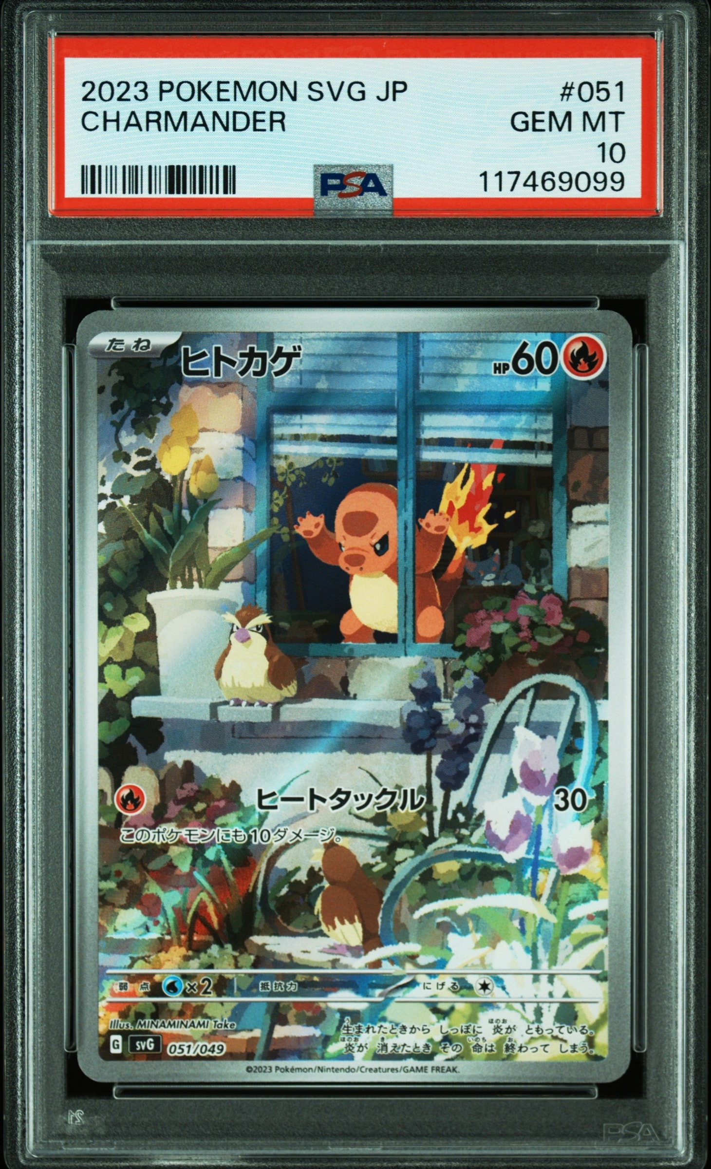 ヒトカゲ :フルイラスト [SVG 051/049](スペシャルデッキセットex「フシギバナ・リザードン・カメックス」)