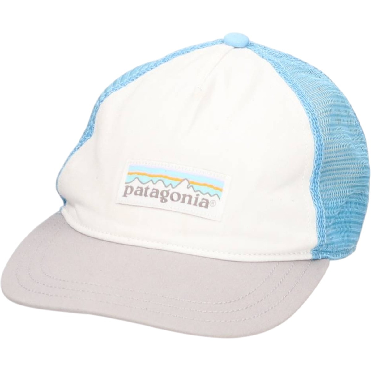 古着 パタゴニア Patagonia トラッカーキャップ ツートン メッシュキャップ フリーサイズ相当/gaa005347