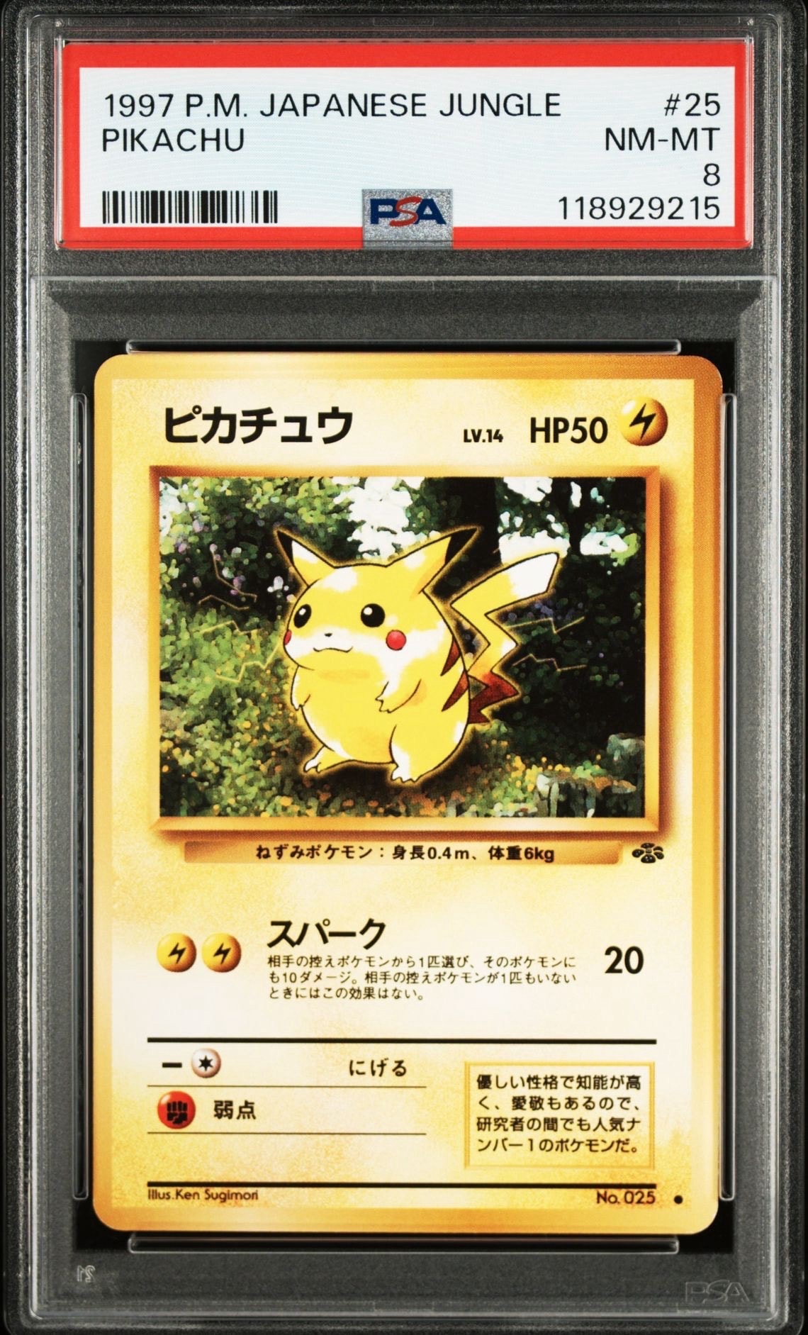 ピカチュウ ● : 旧裏 [PMCG2 No.025](拡張パック「ポケモンジャングル」)