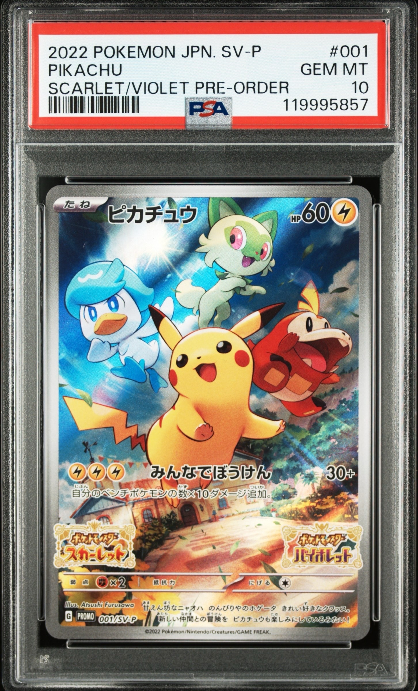 マスクド・ピカチュウ: プロモ[XY-P 247/XY-P](プロモーションカード