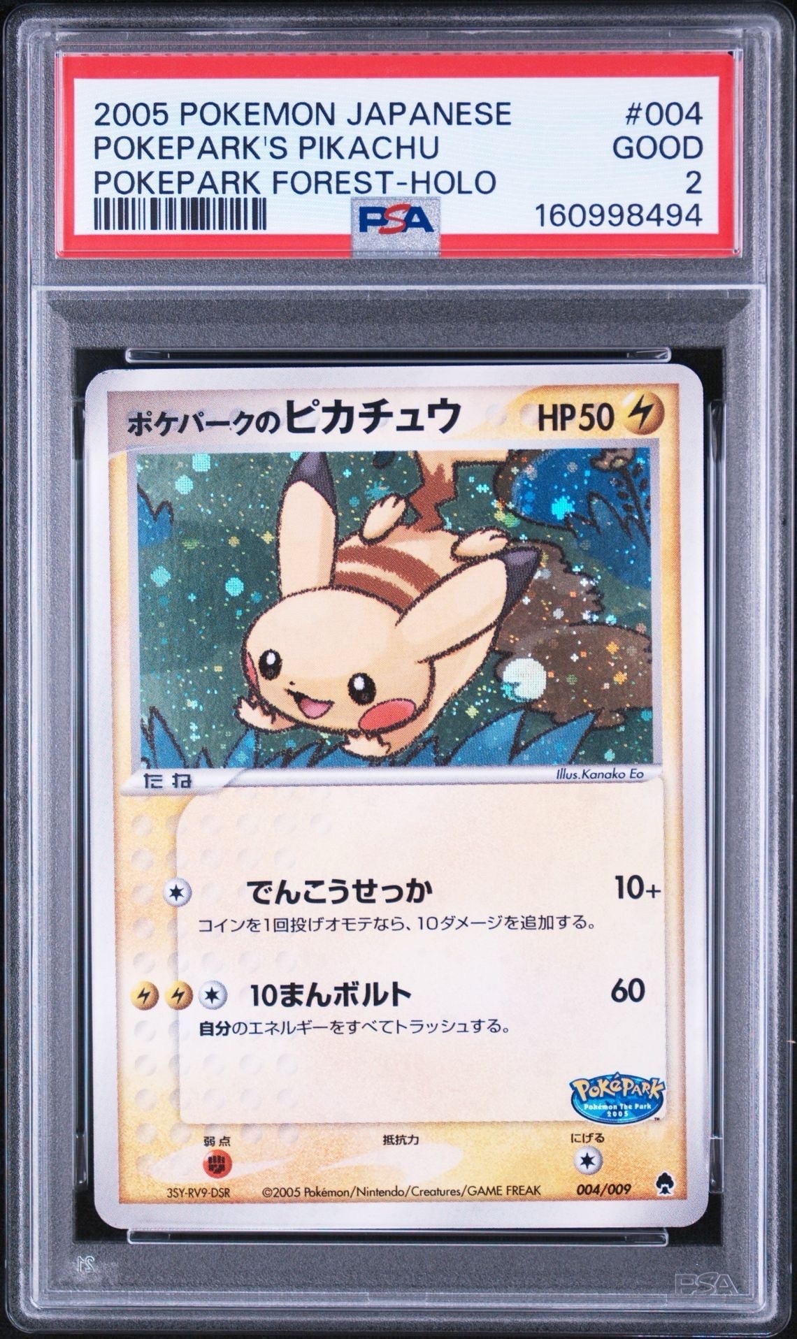 ポケパークのピカチュウ [PCG 004/009](ポケパークプレミアムファイル
