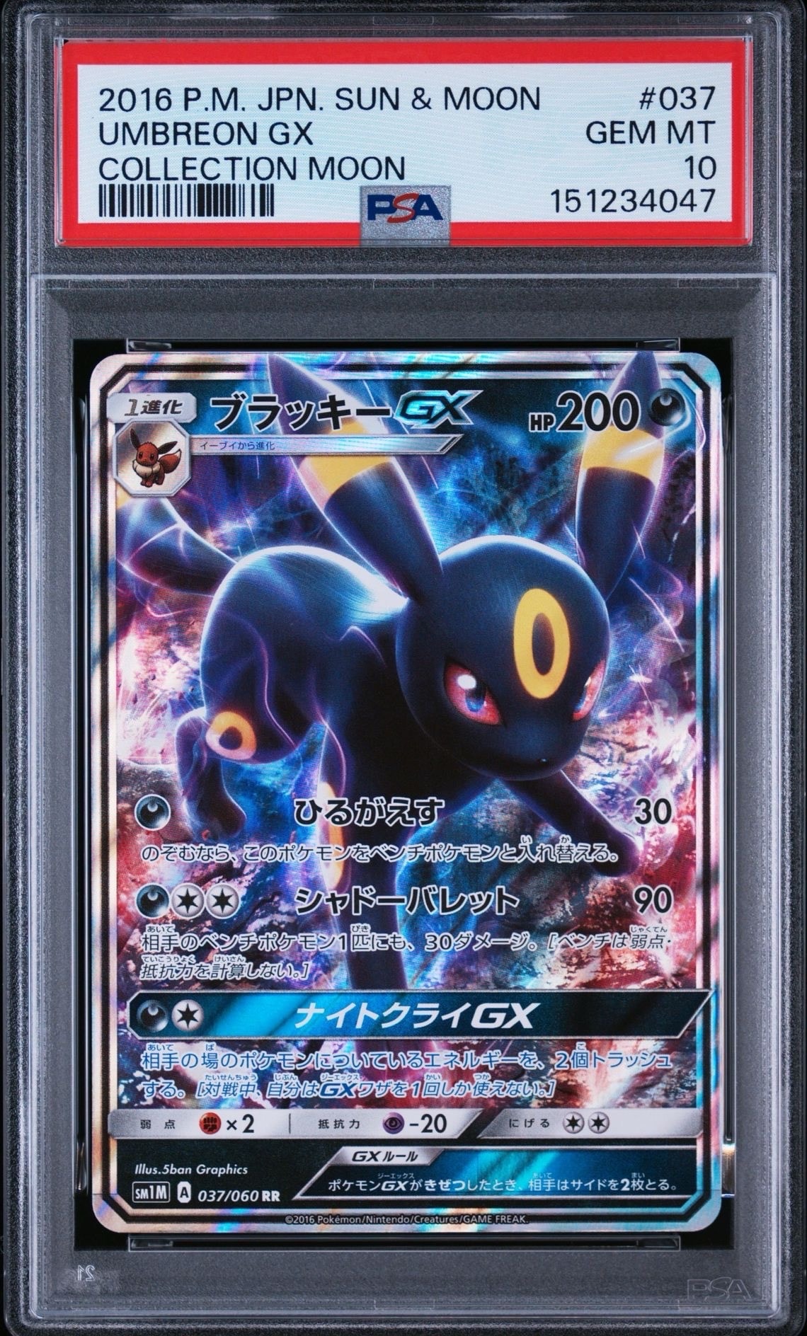 ブラッキーGX RR[SM1M 037/060](拡張パック「コレクション ムーン