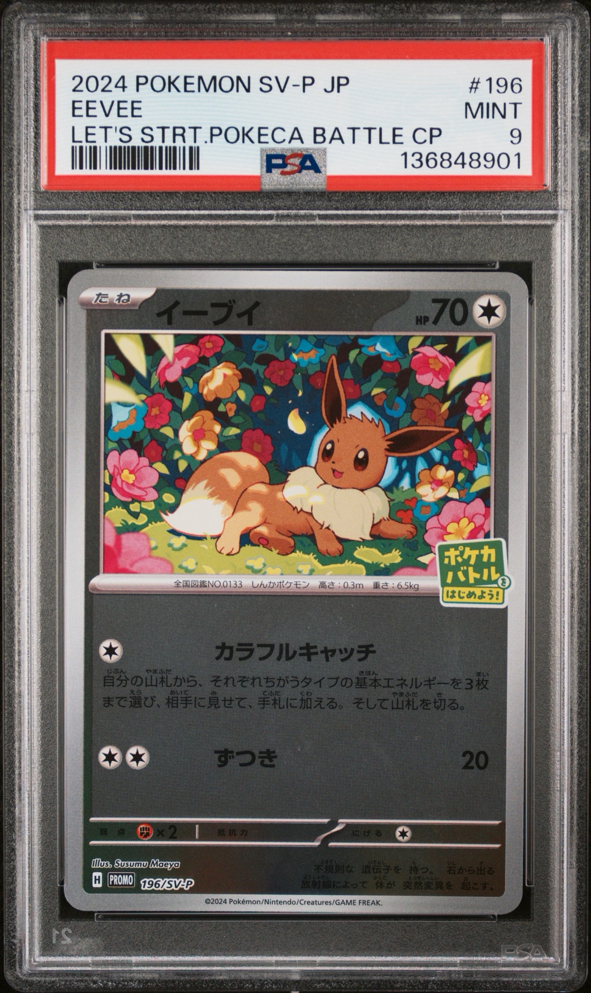 イーブイ P [SV-P-SM 196](プロモカードパック「ポケカバトルをはじめ