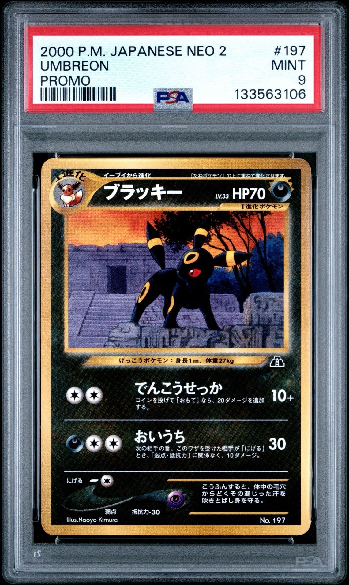 ブラッキープレミアムファイル2: 旧裏[neoP2 No.197](プレミアムファイル2)