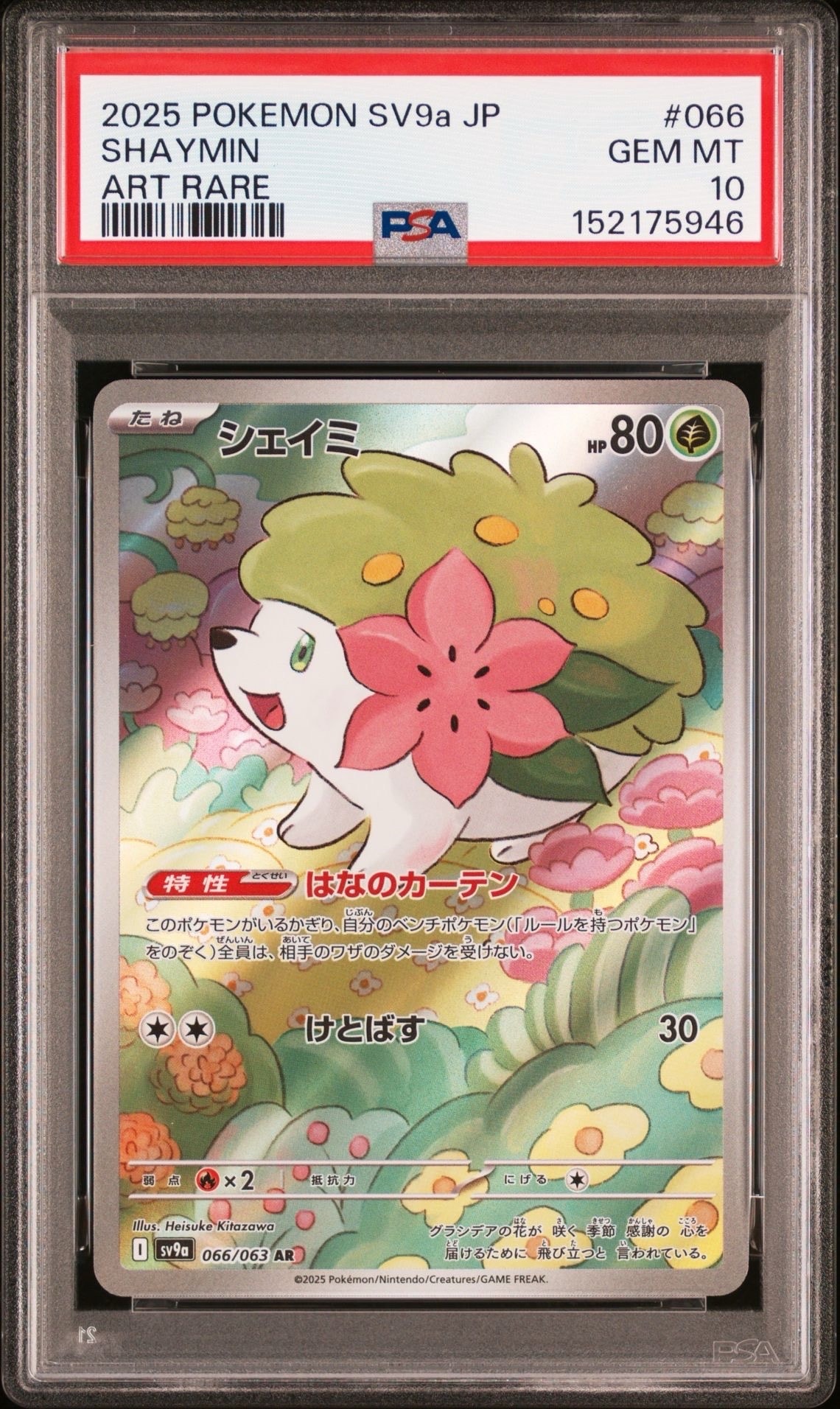 PSA10】シェイミ AR [SV9a 066/063](強化拡張パック「熱風のアリーナ