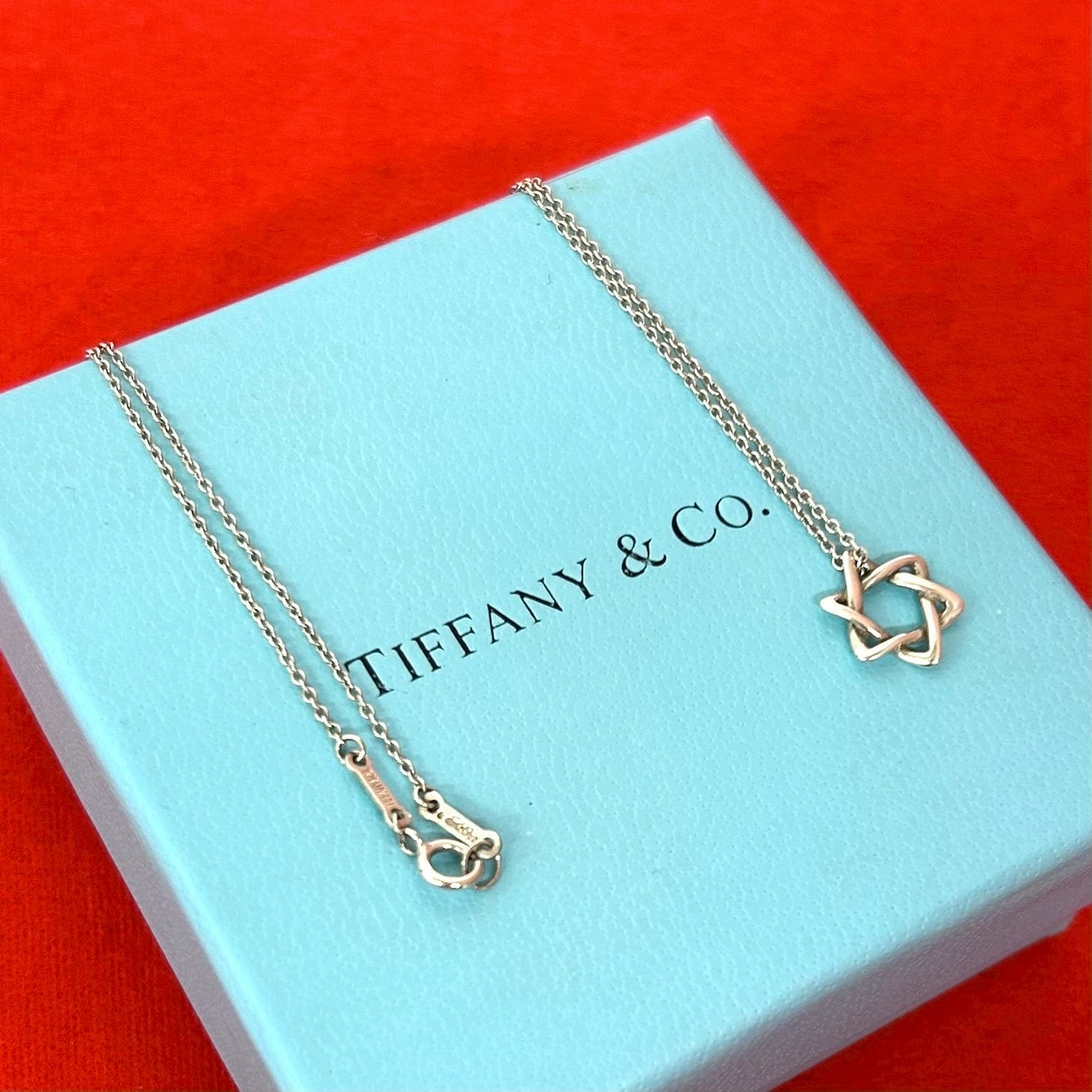 TIFFANY&Co. ティファニー スター オブ ダビデ ネックレス シルバー925 ネックレス シルバー
 73405