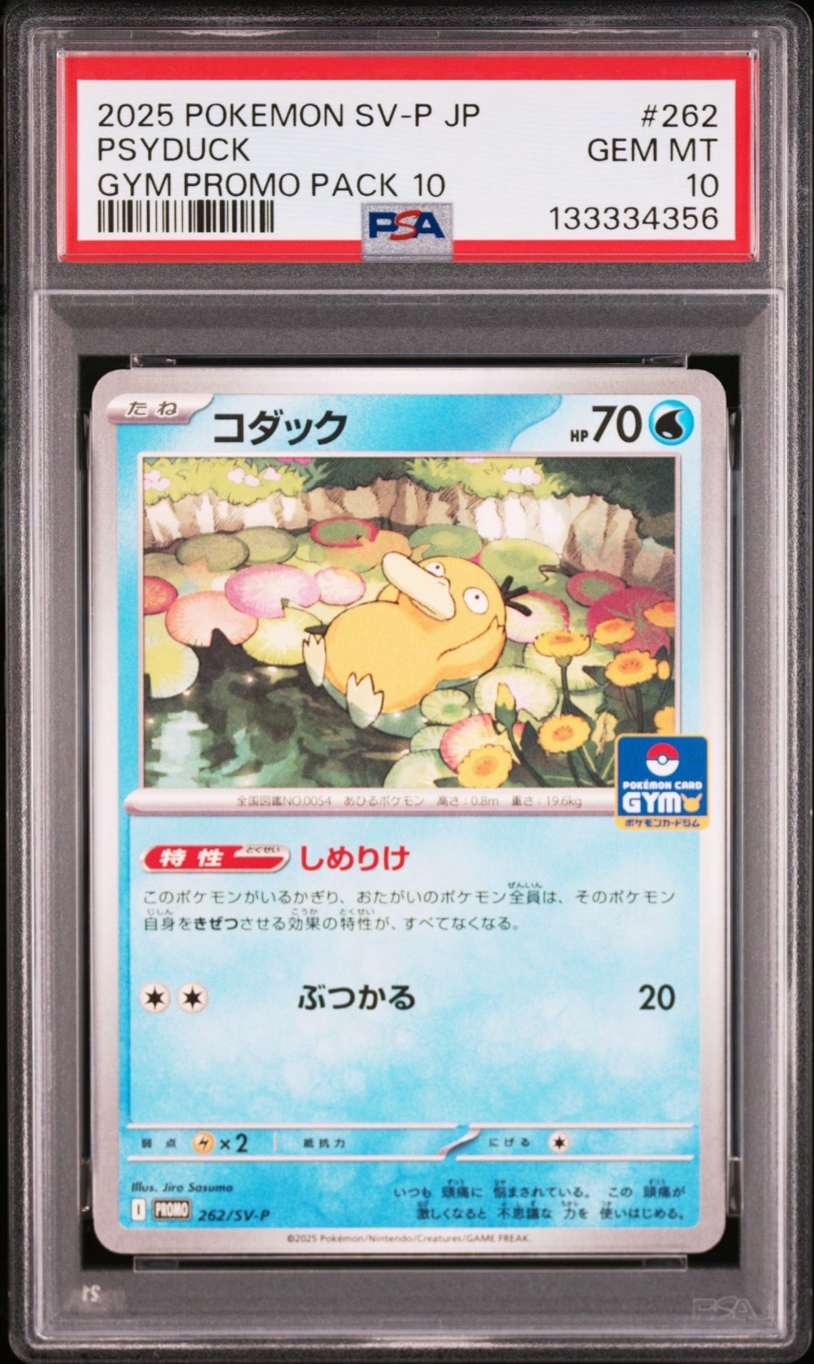 コダック P [SV-P 262](プロモカードパック「第10弾」)