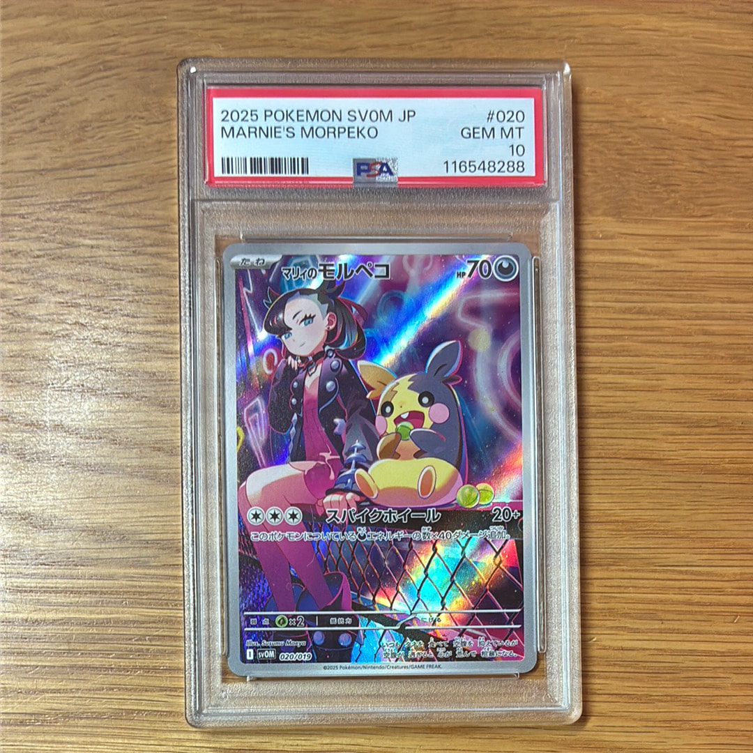 【PSA10】マリィのモルペコ AR スターターセットex 020/019 PSA10】 マリィのモルペコ (AR仕様) {020/019} [SVOM/スターターセット