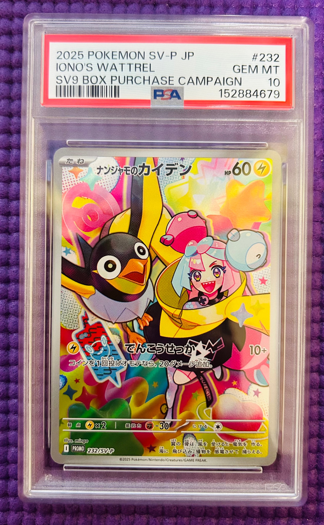 ナンジャモのカイデン P [SV-P 232](プロモーションカード「拡張パック
