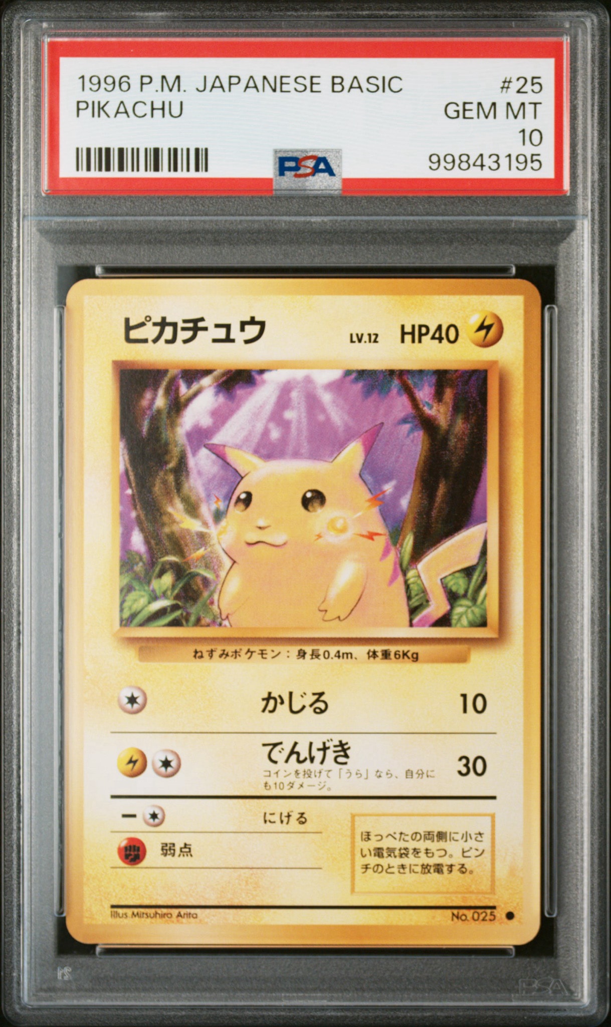 ピカチュウ ○ : 旧裏 [PMCG1-2](拡張パック「ポケットモンスター
