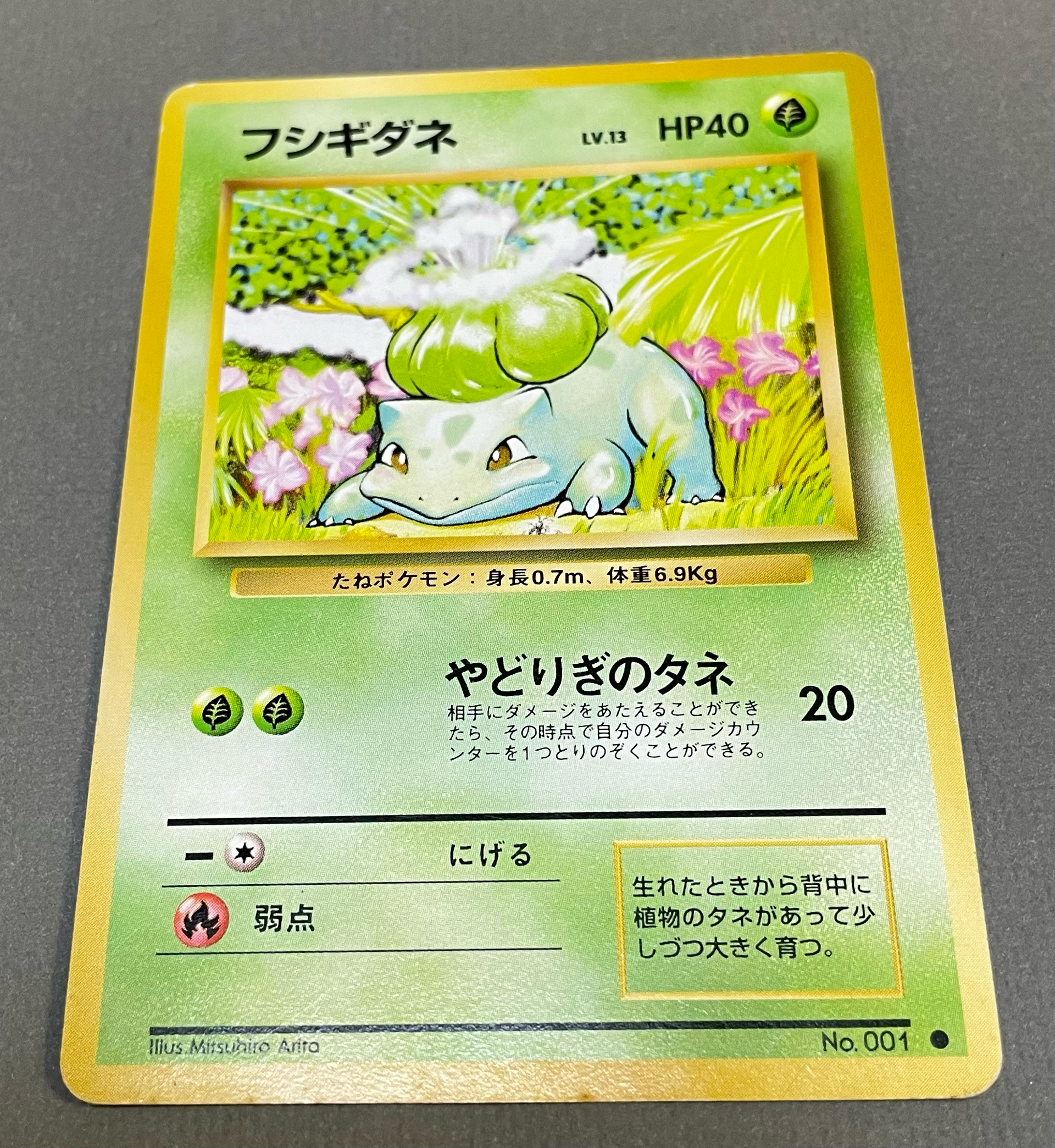 フシギダネ ● : 旧裏 [PMCG1-2](拡張パック「ポケットモンスター カードゲーム」再販)
