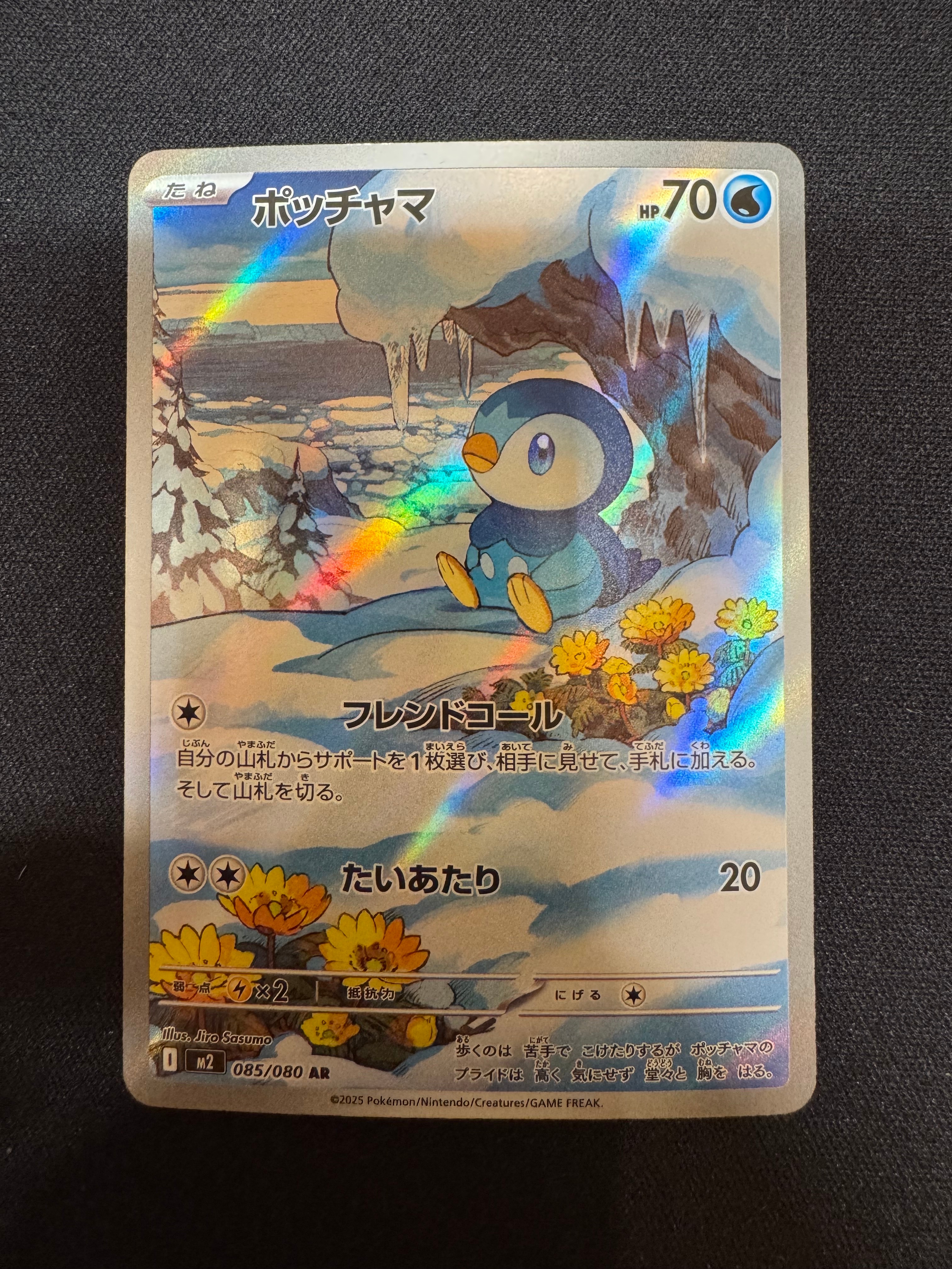PSA10】ポッチャマ AR [M2 085/080](拡張パック「インフェルノX」) 1枚