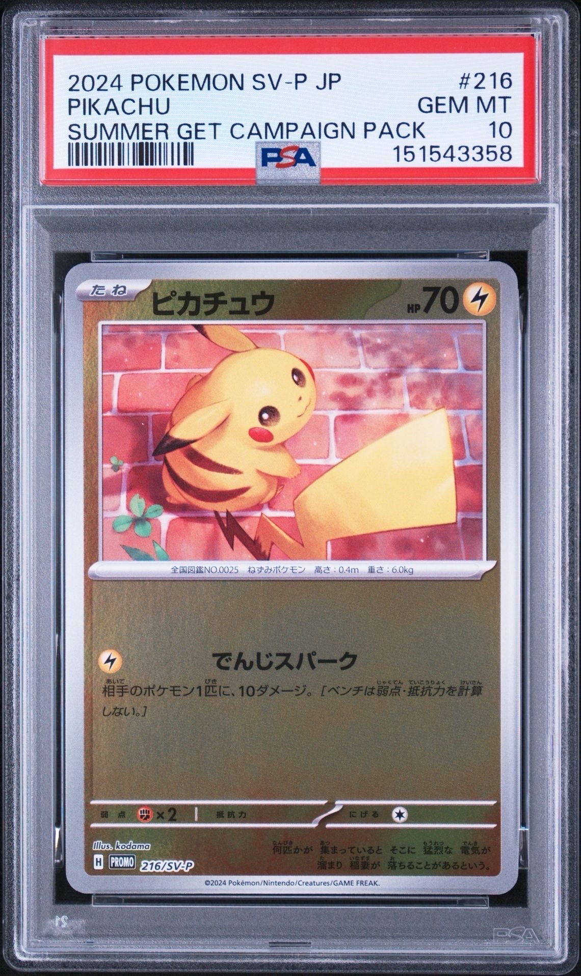 ピカチュウ P [SV-P 216](プロモカードパック「ポケカの夏がキタ