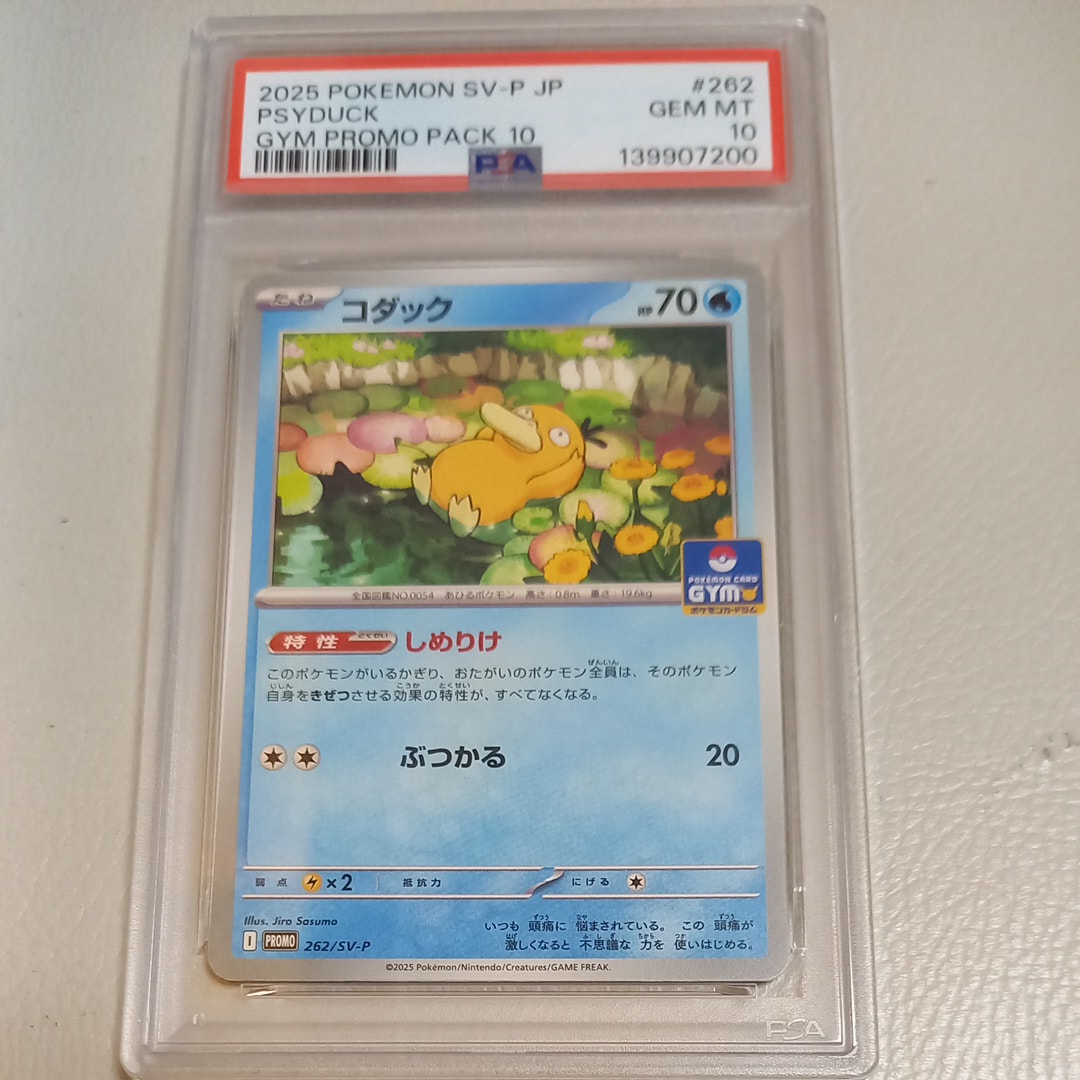 PSA10】コダック P [SV-P 262](プロモカードパック「第10弾」) 1枚の