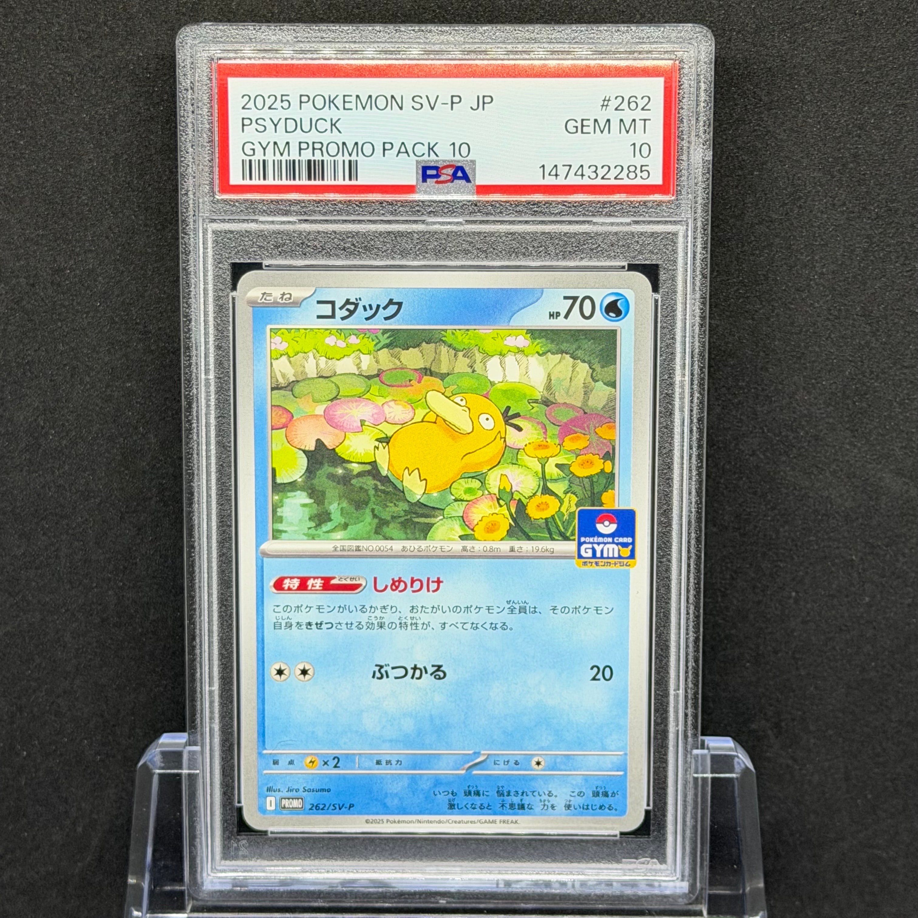 コダック P [SV-P 262](プロモカードパック「第10弾」)の新品/中古