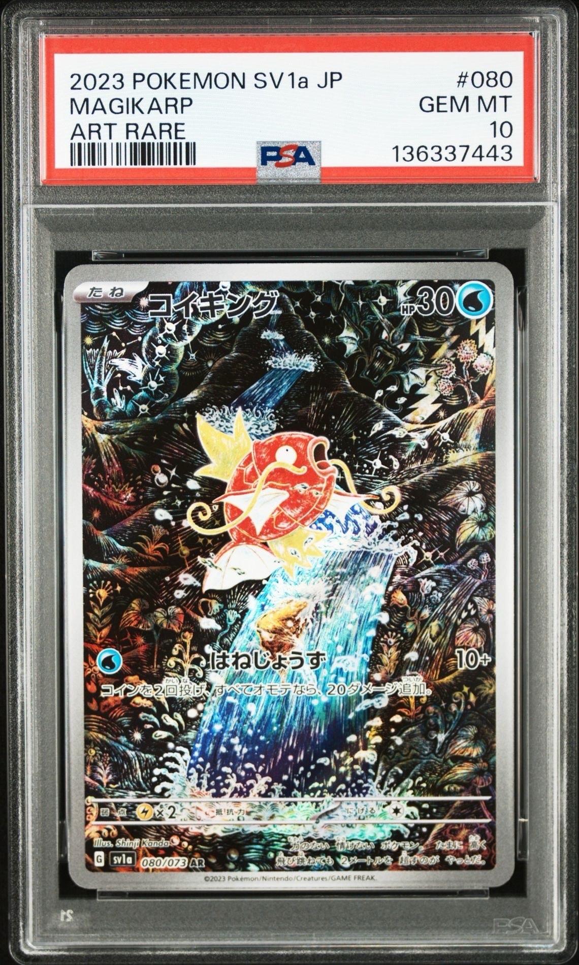 コイキング AR[SV1a 080/073](スカーレット&バイオレット 拡張パック「トリプレットビート」)