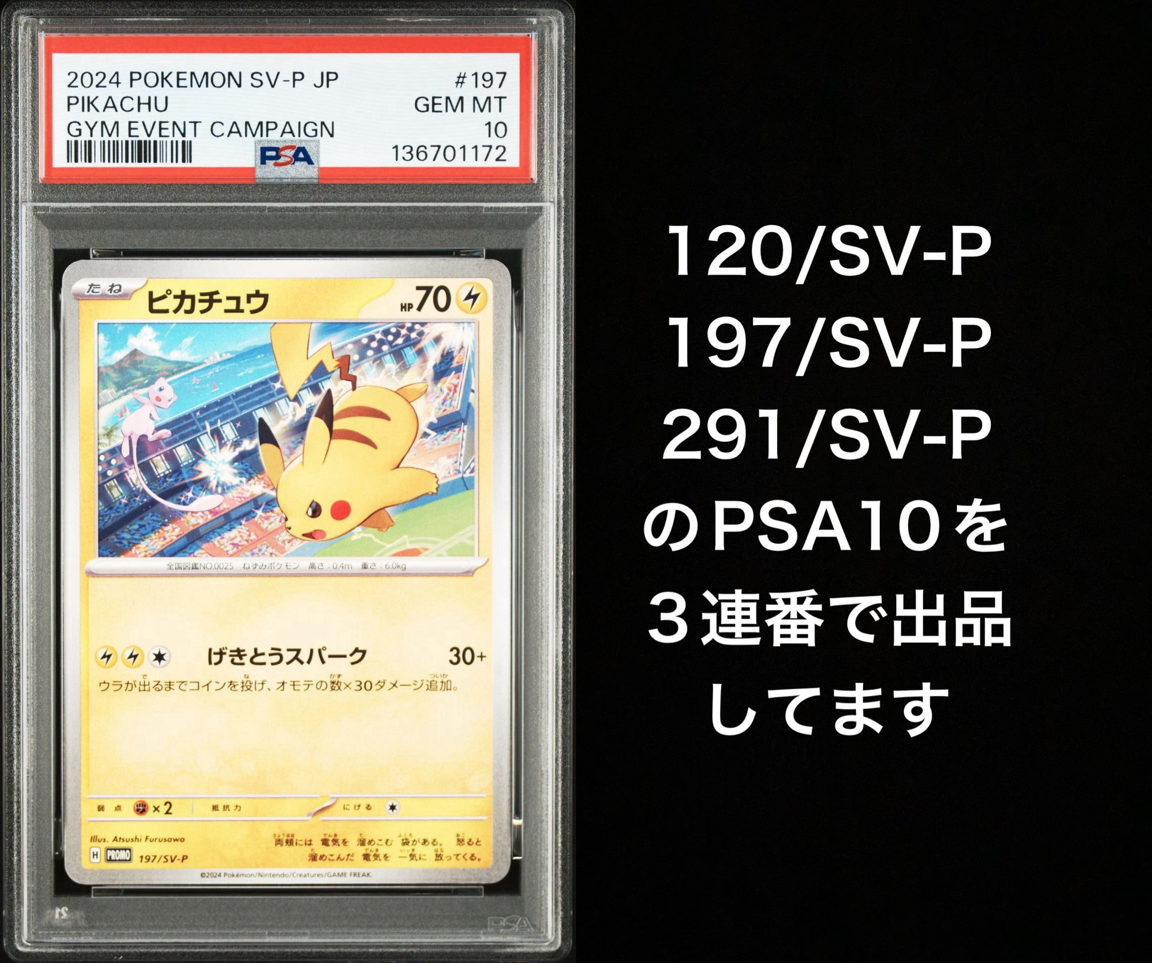 ピカチュウ P [SV-P 197](プロモーションカード「WCS2024 開催記念」)