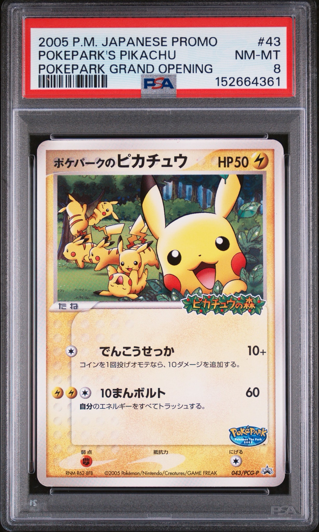 ポケパークのピカチュウ P [PCG-P 043](プロモーションカード
