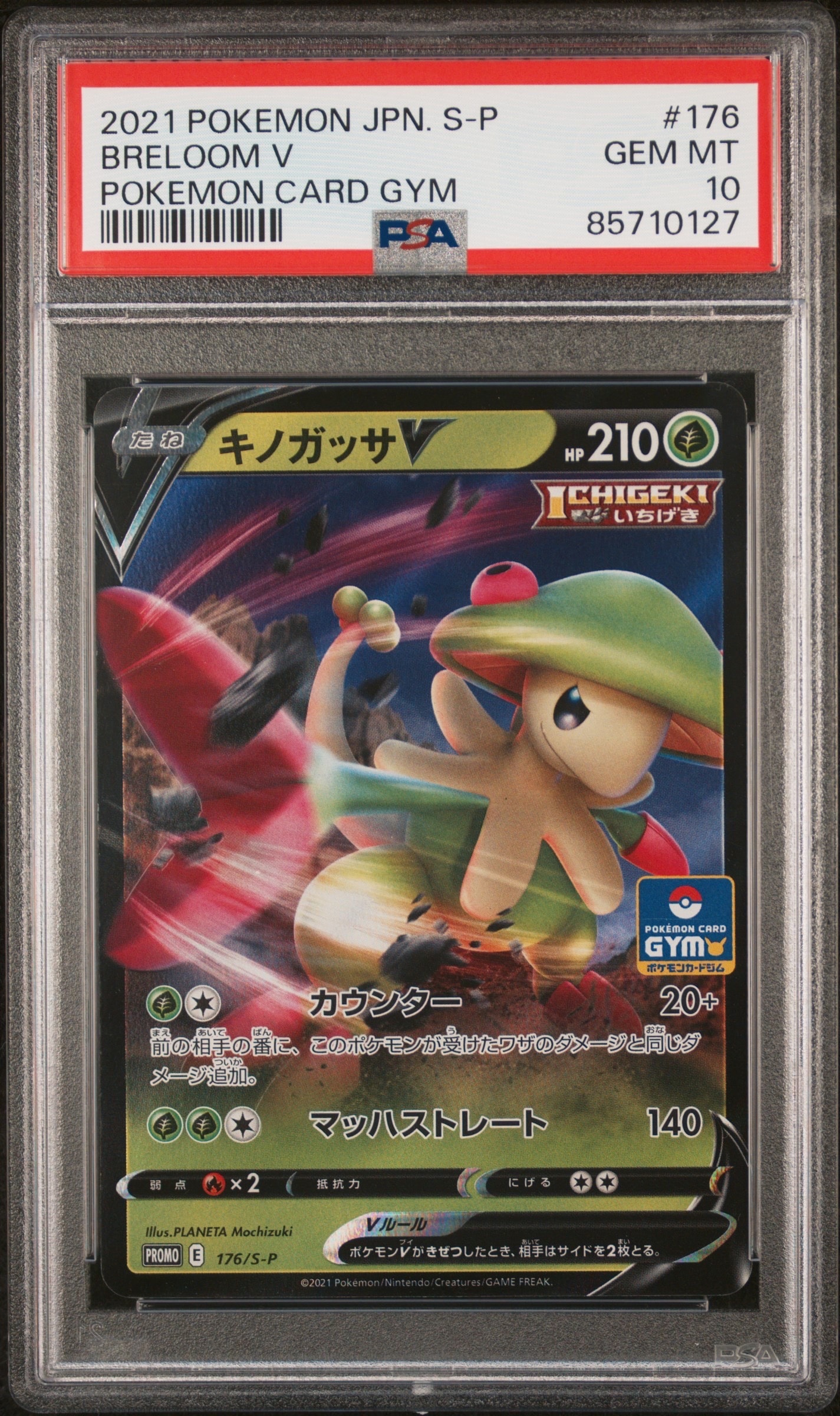 キノガッサV: プロモ P [S-P 176](ポケモンカードゲーム ソード&シールド 「プロモカードパック 第6弾」)