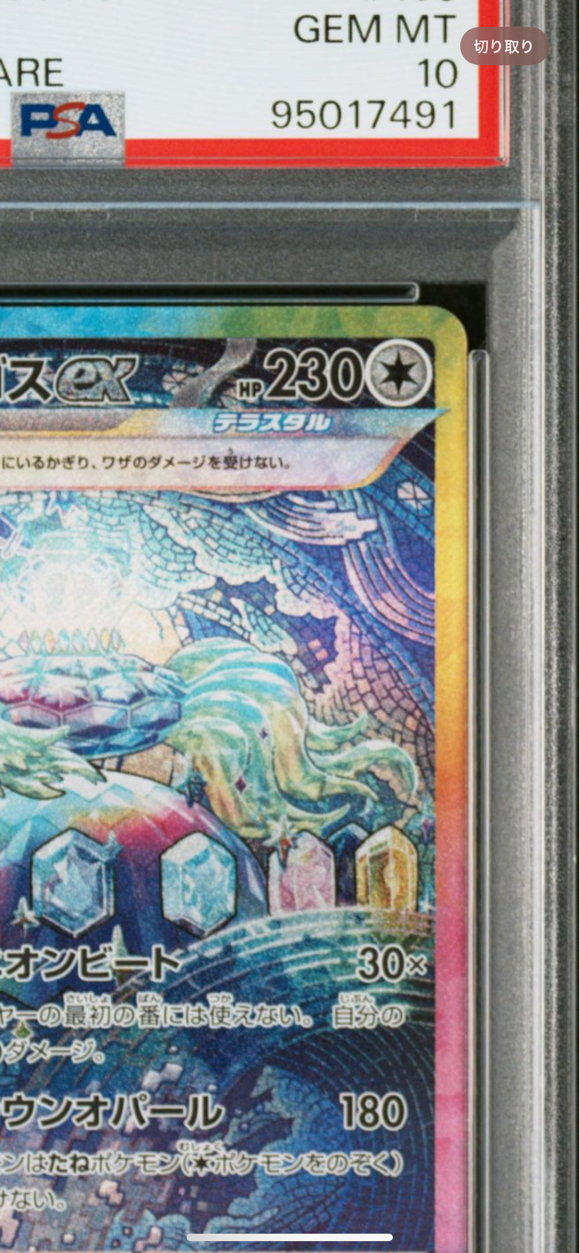 テラパゴスex SAR [SV7 130/102](拡張パック「ステラミラクル