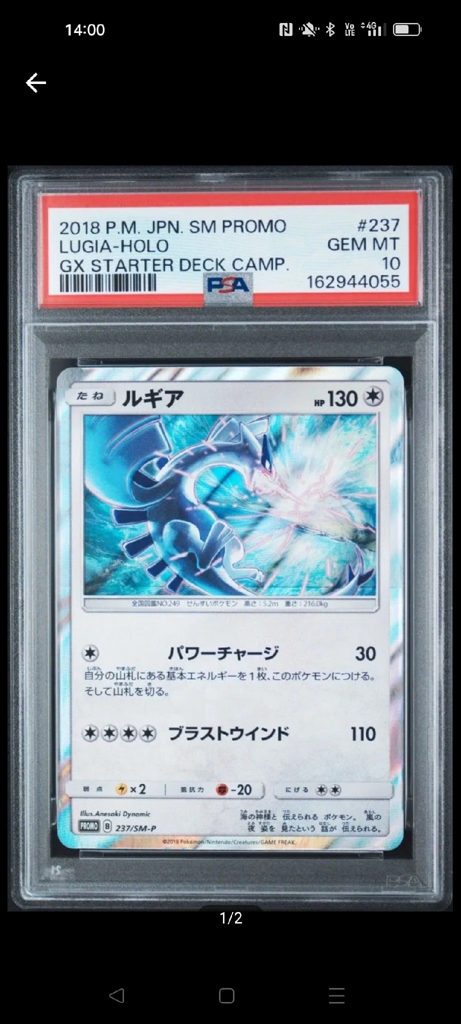 ルギア P [SM-P 237](GXスタートデッキ「Wルギアキャンペーン」)通販
