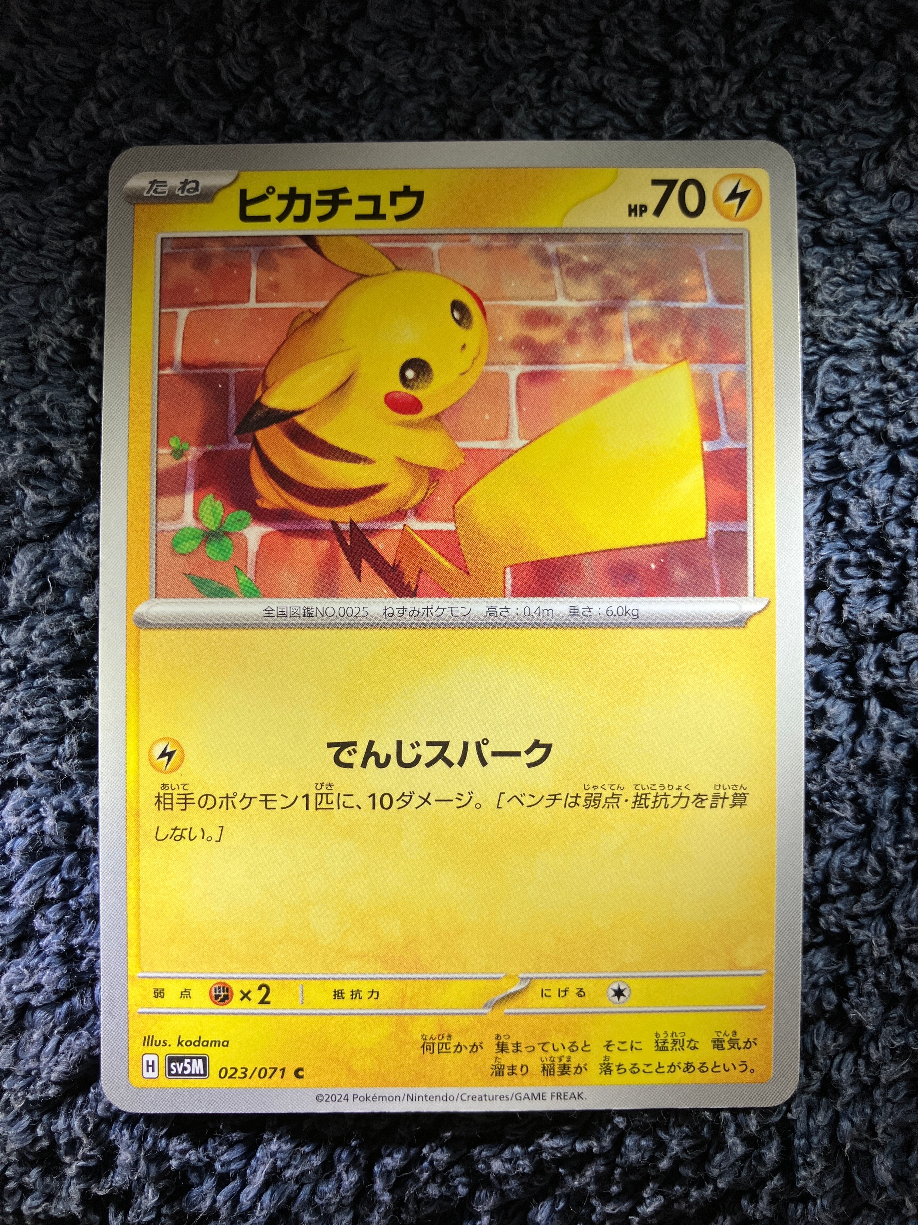 PSA10】MミュウツーEX [CP4 052/131](プレミアムチャンピオンパック