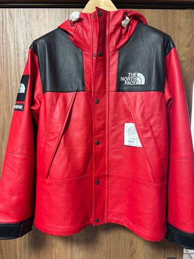Supreme x The North Face Leather Mountain Parka "Red"