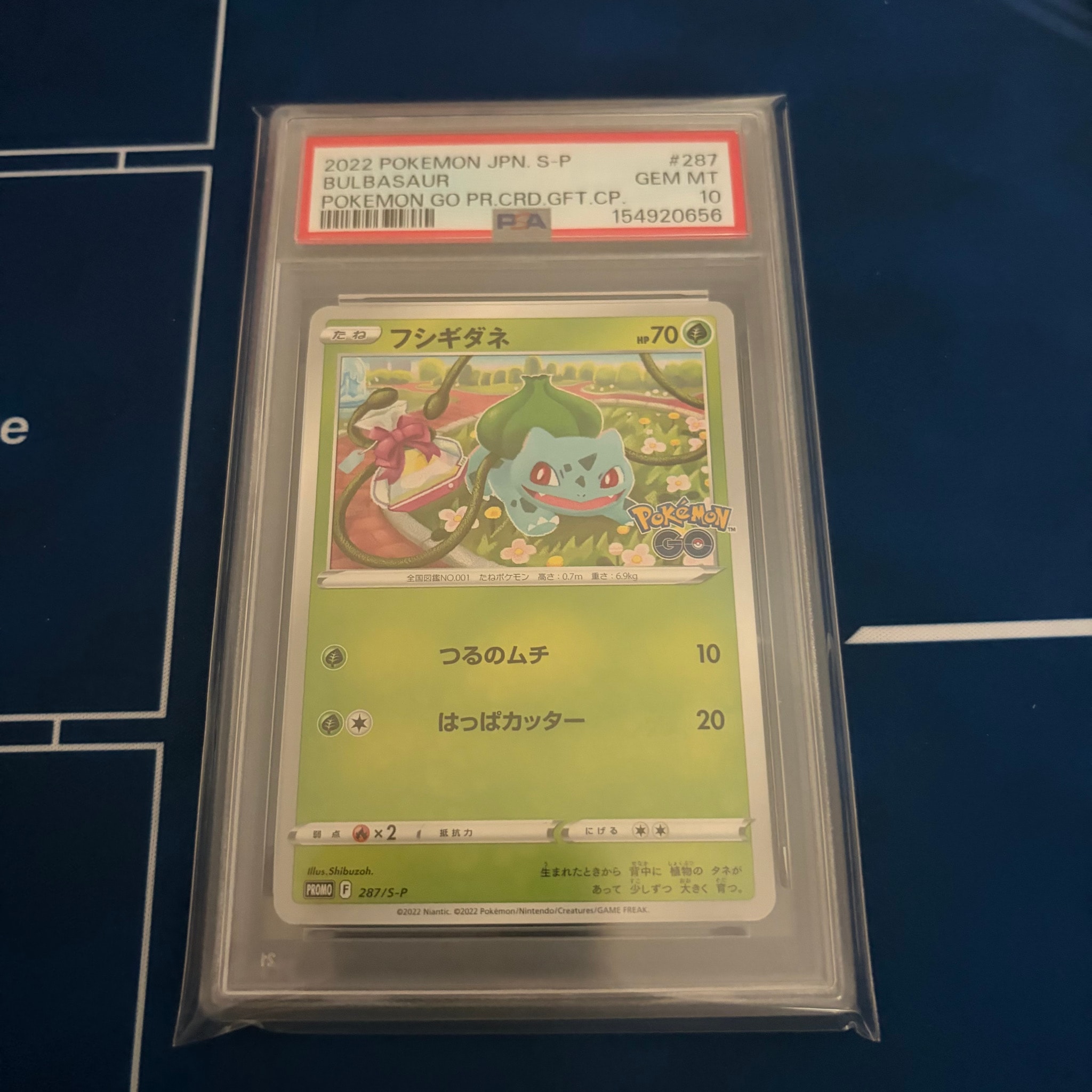 フシギダネ P [S-P 287](プロモーションカード「ポケモン GO ギフト