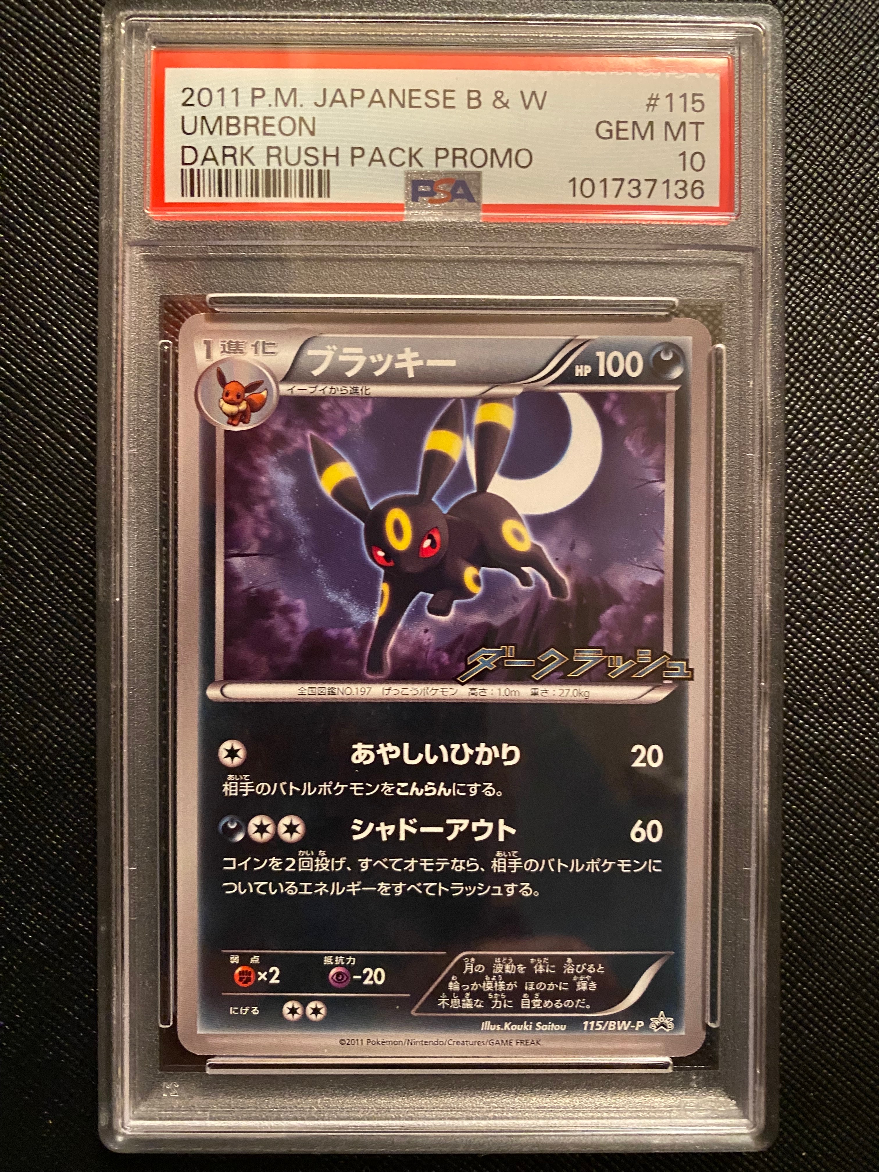 ブラッキー P [BW-P 115/BW-P](プロモーションカード「ダークラッシュキャンペーンパック」)